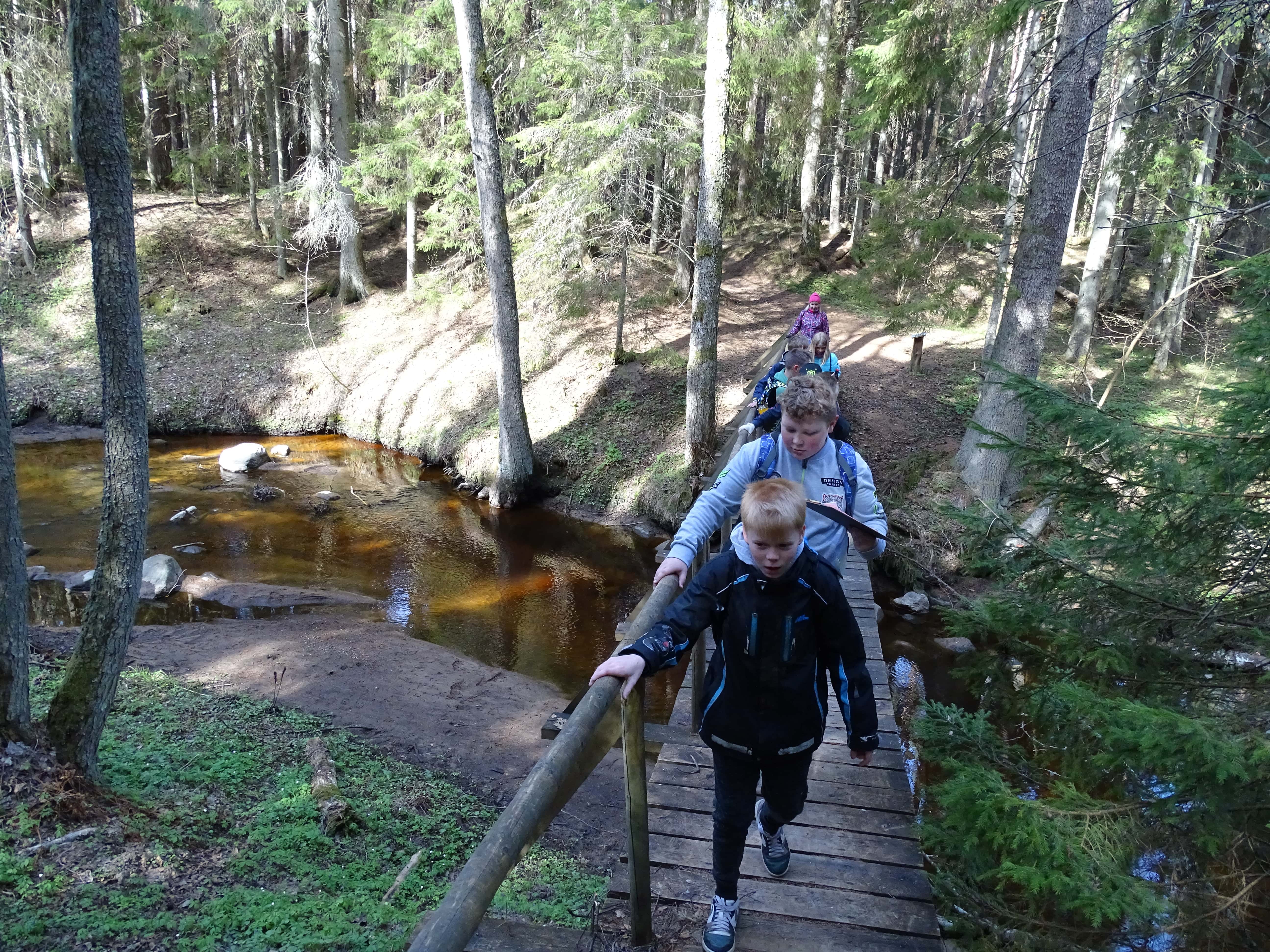 Õpilased Altja loodusrajal silda ületamas