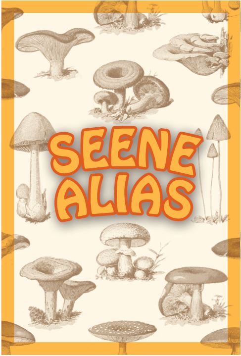 lauamäng seene alias