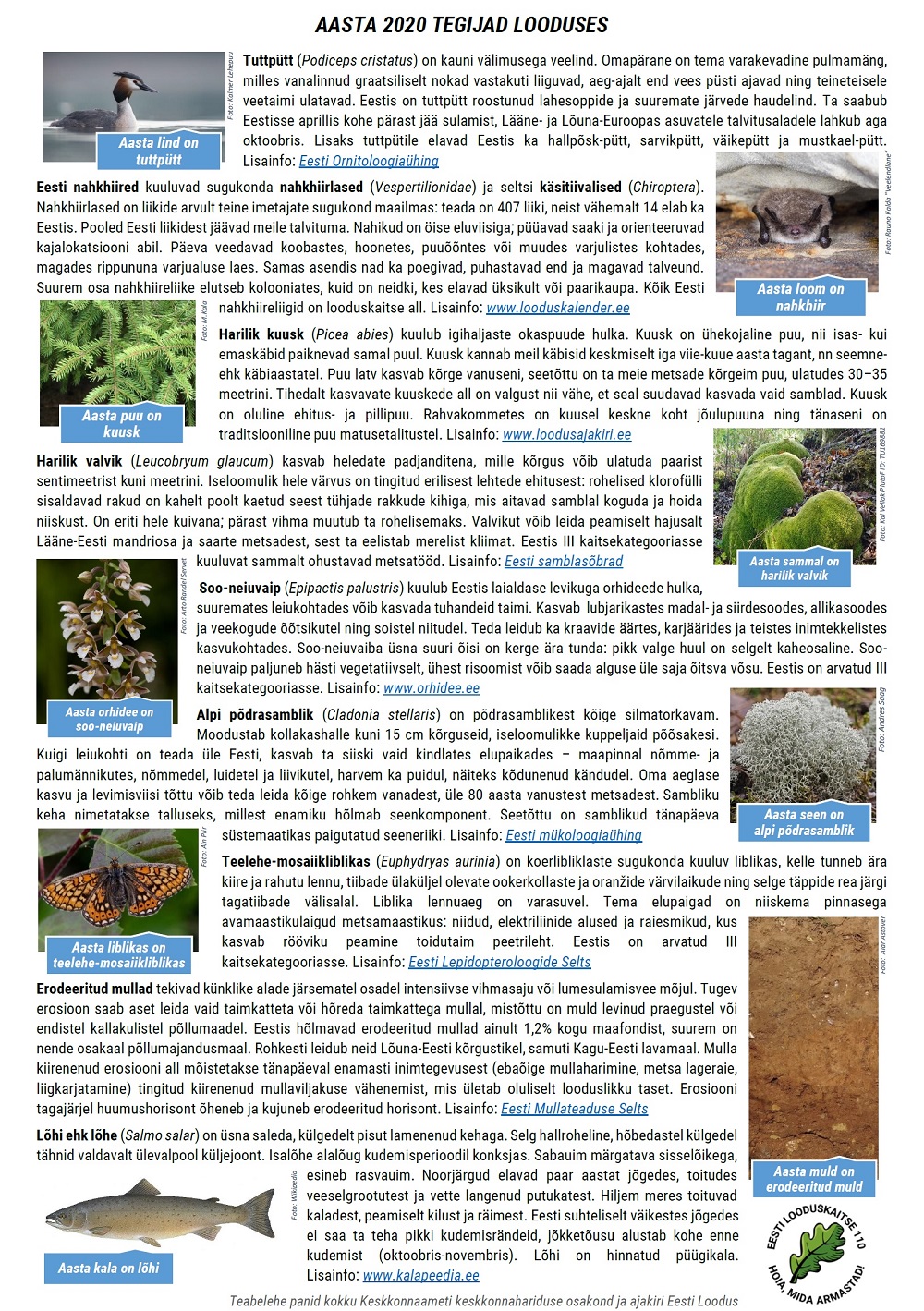 aasta tegijate plakat 