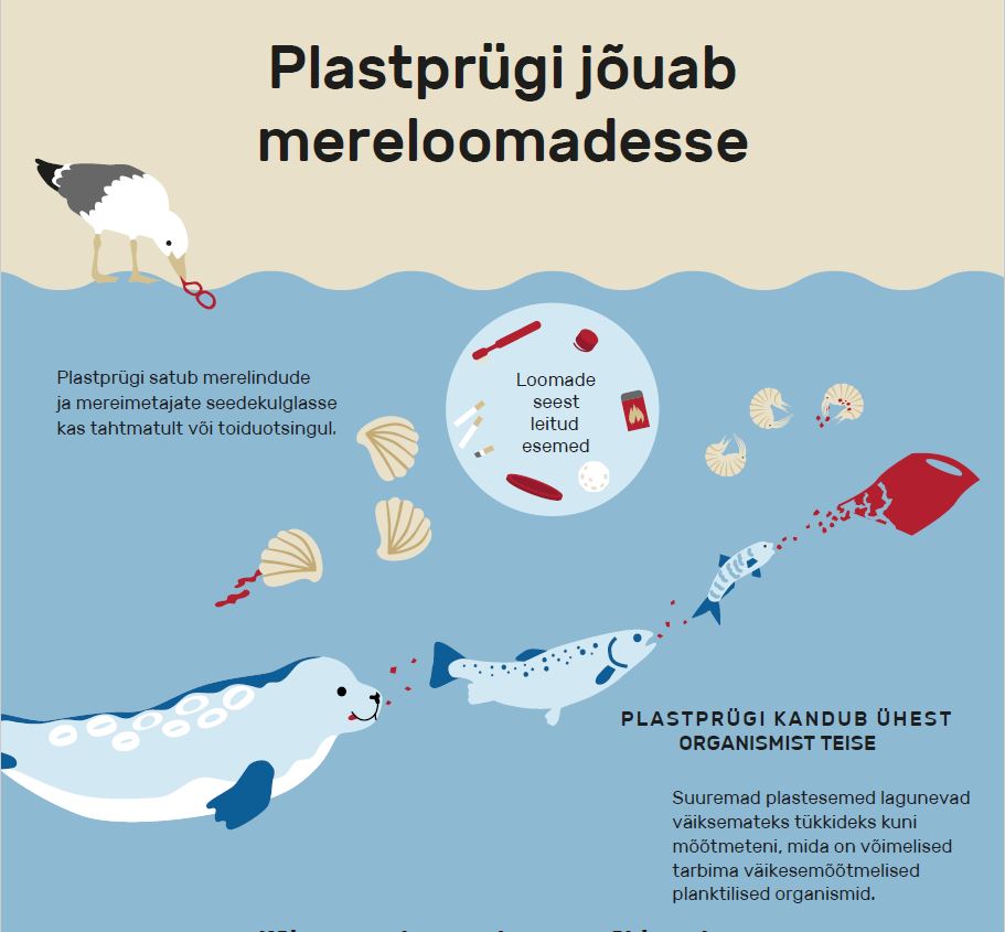 Plastprügi jõuab mereloomadesse