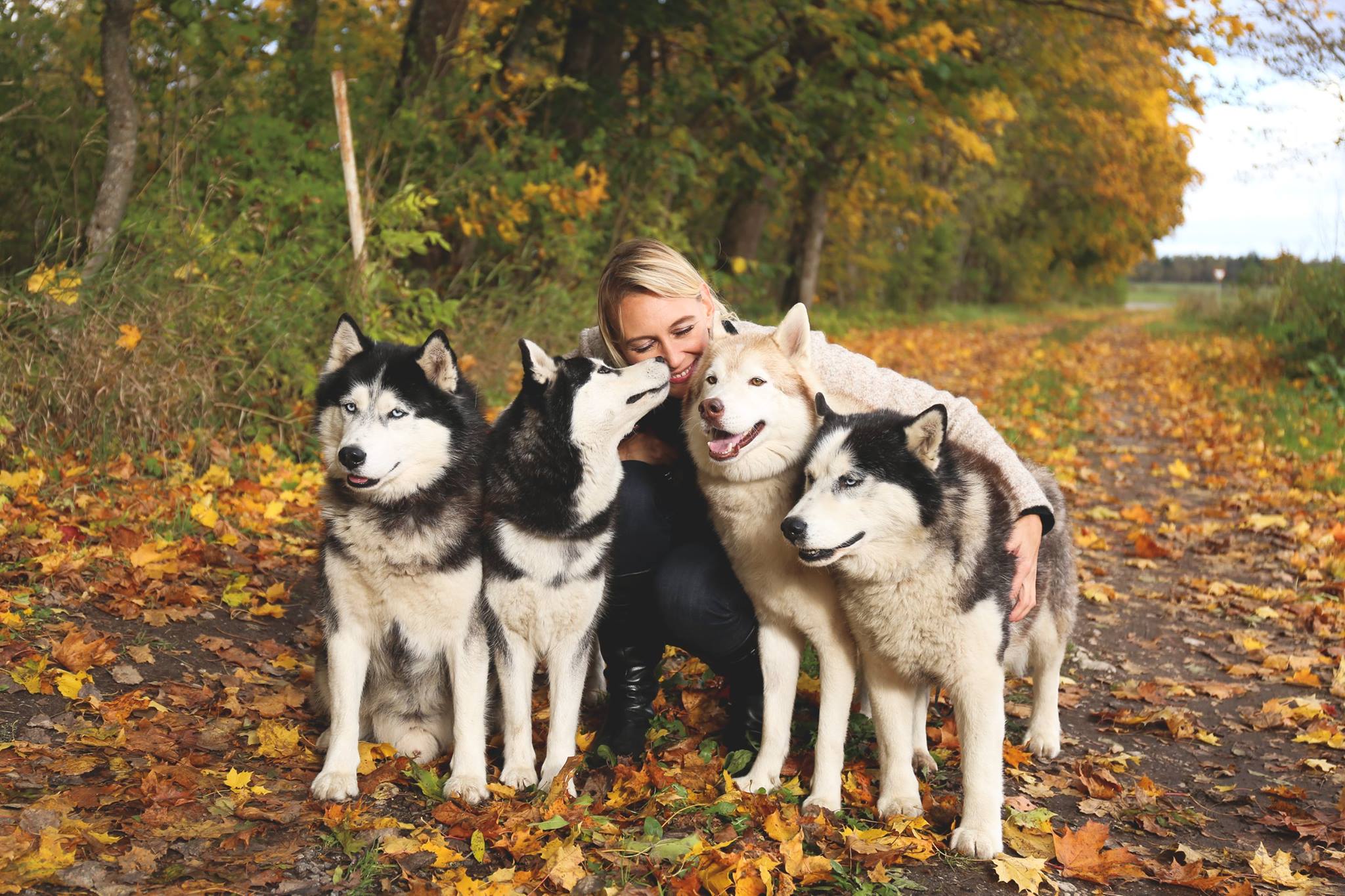 neli kelgukoera koos perenaisega