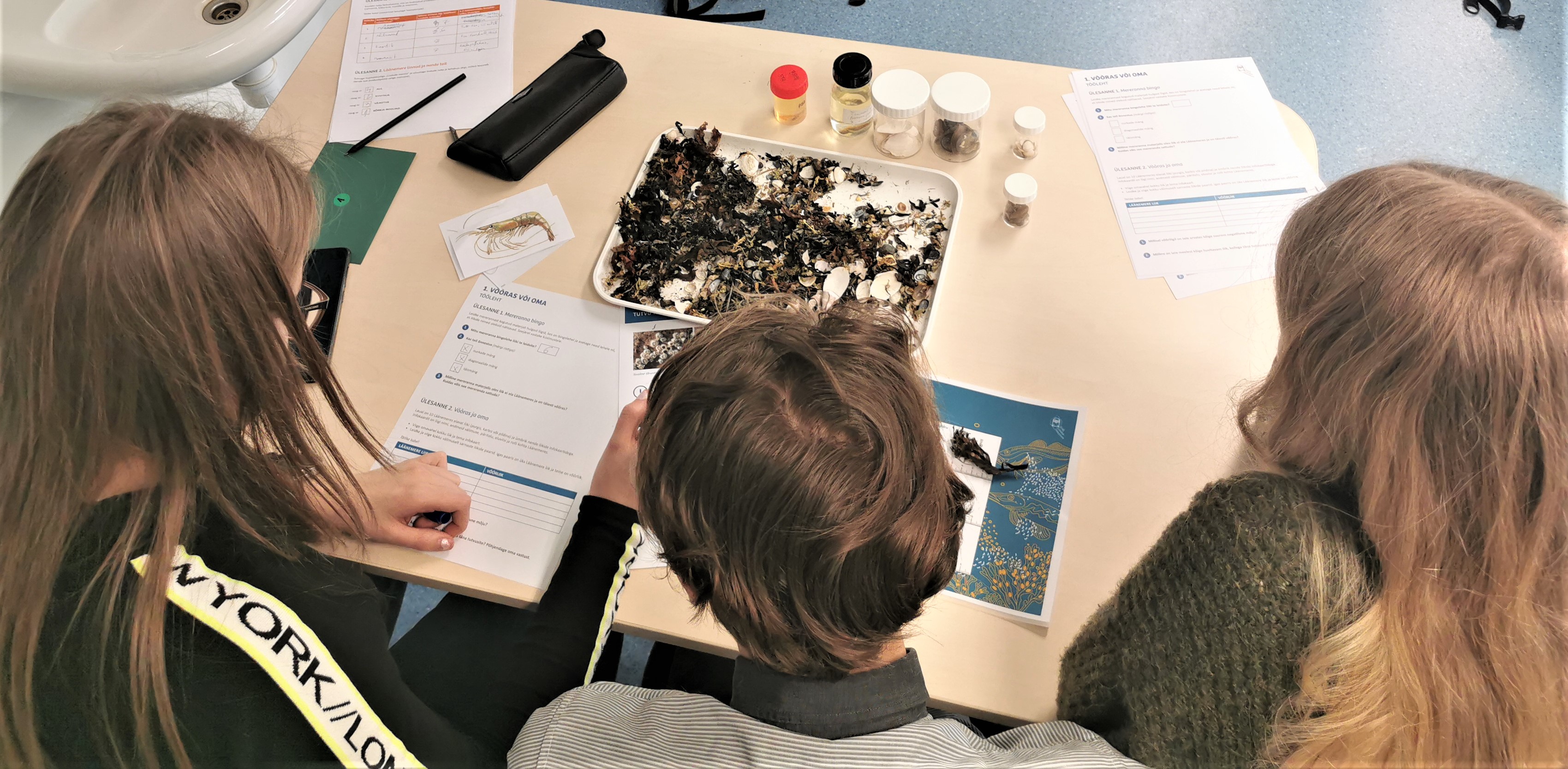 Teemapunkt "Võõras või oma"