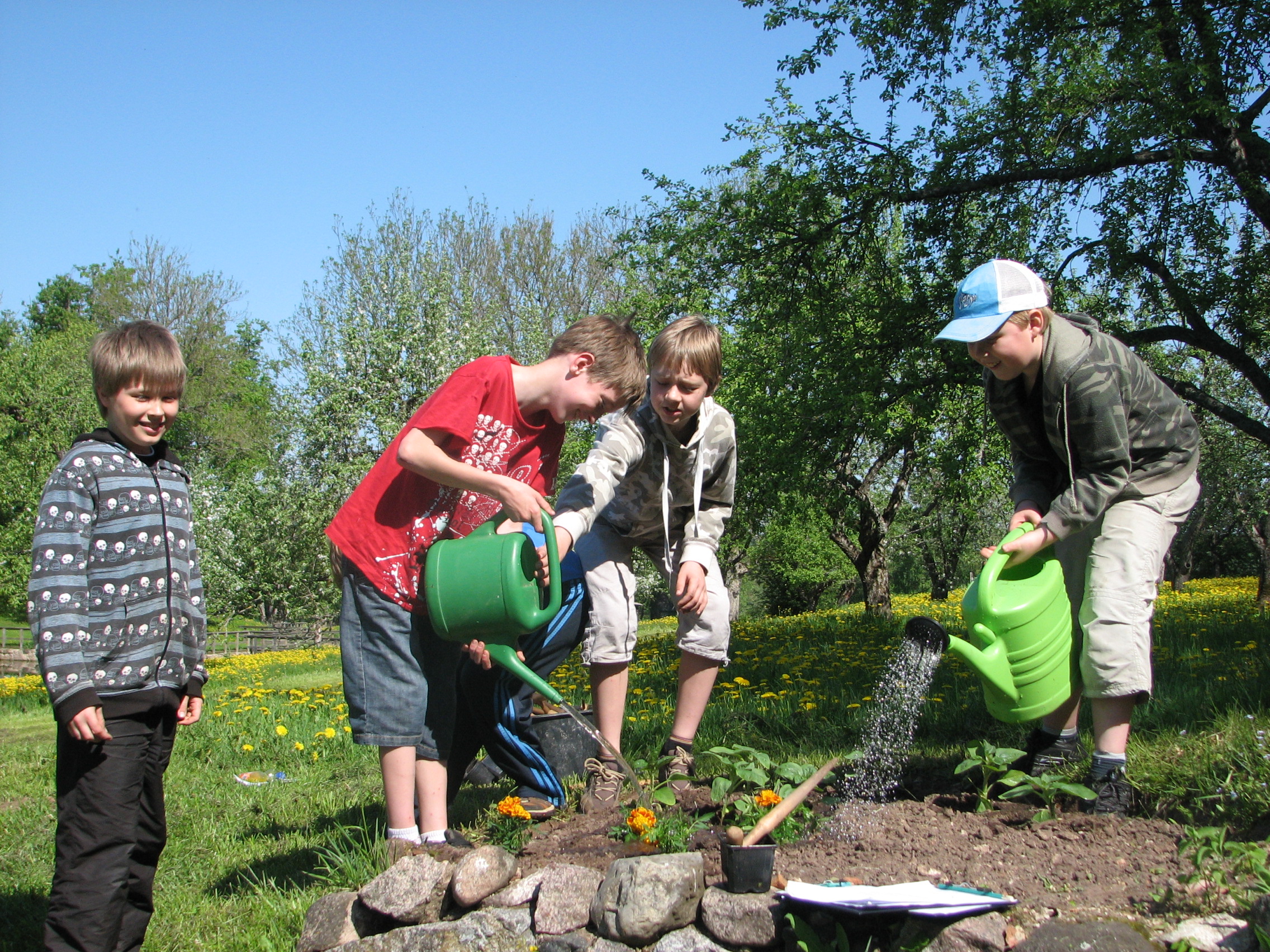 kevad mõisapargis, lillede istutamine
