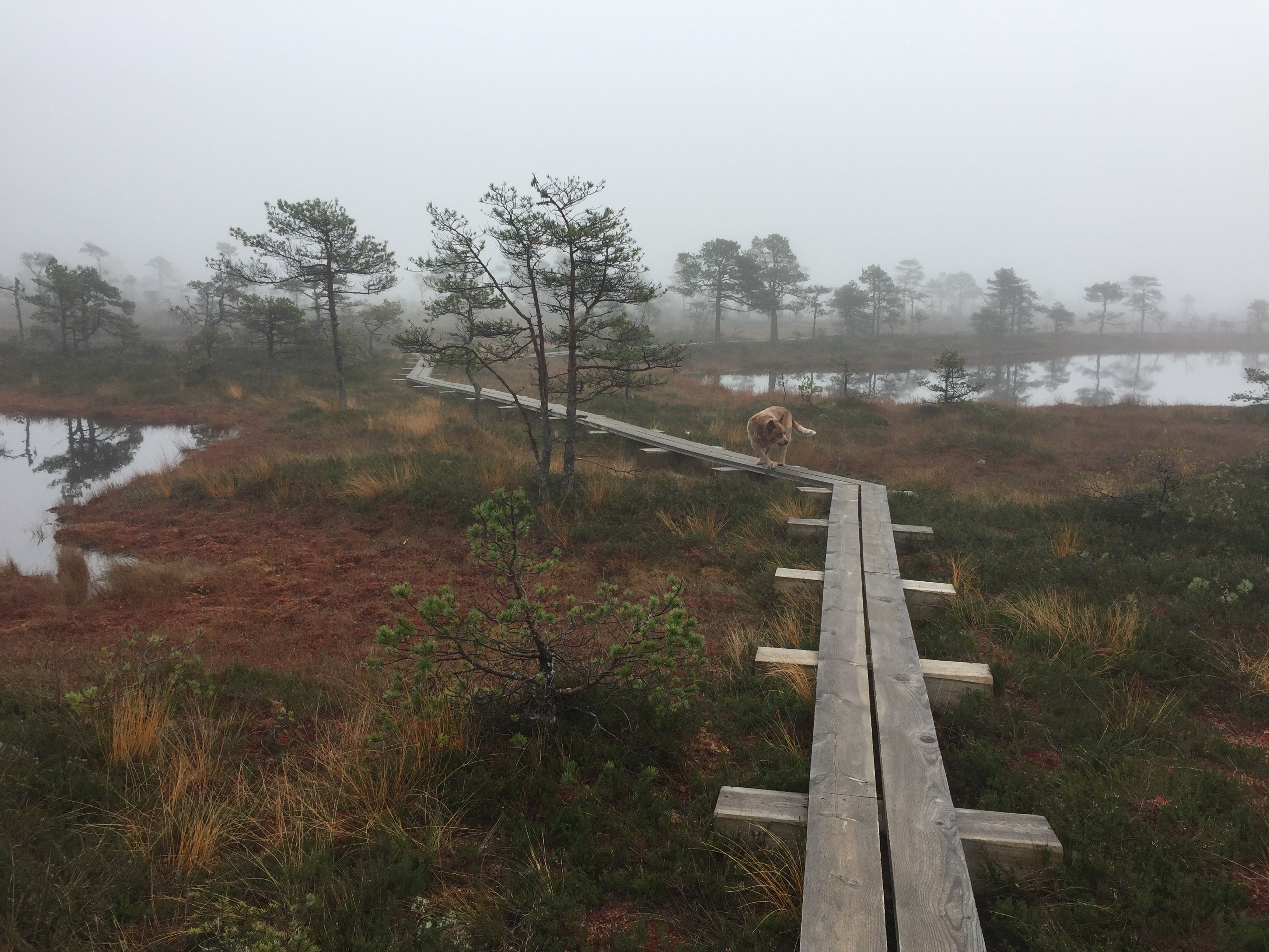 vaade rabamaastikule