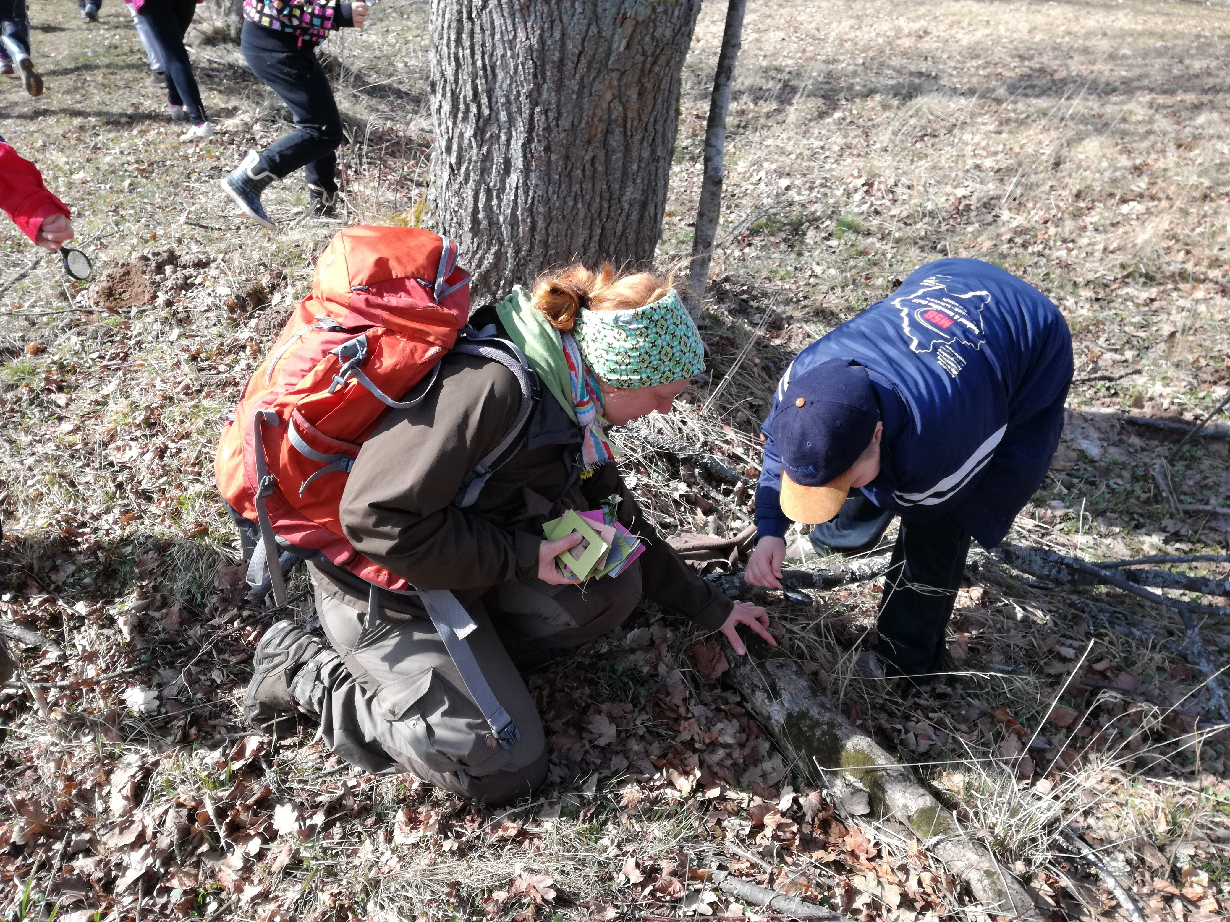Elu ja ringlused mullas Tipu Looduskoolis