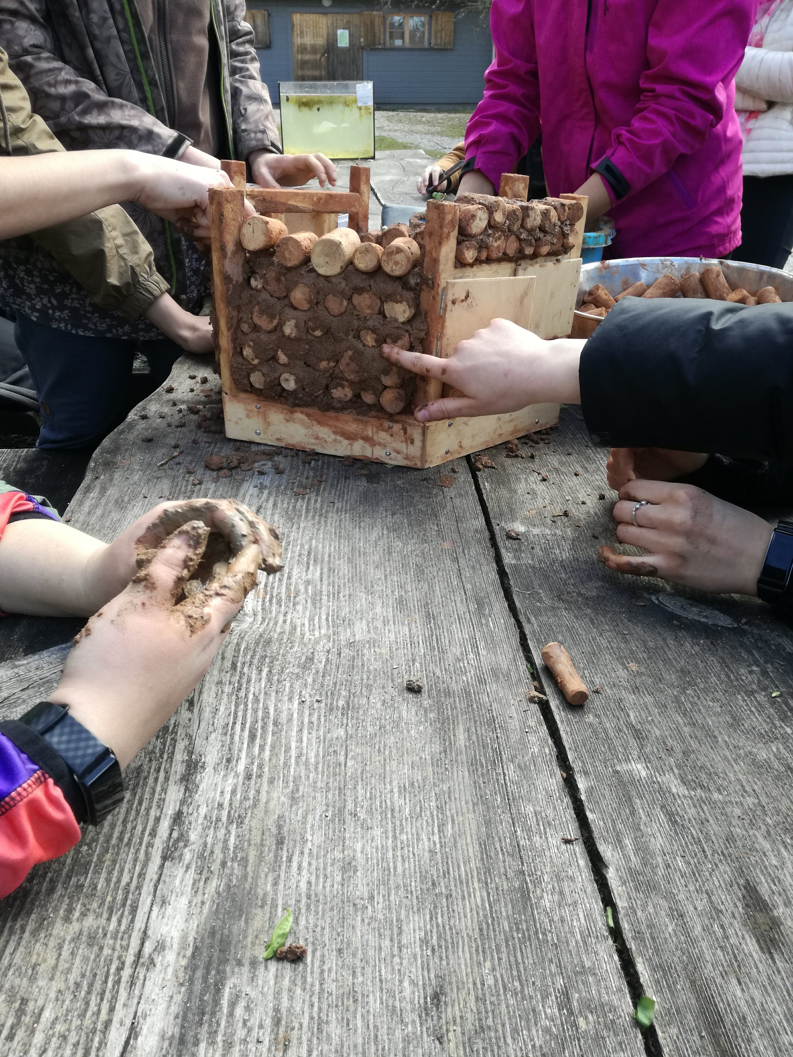 Savimaja ehitamine mullaprogrammis