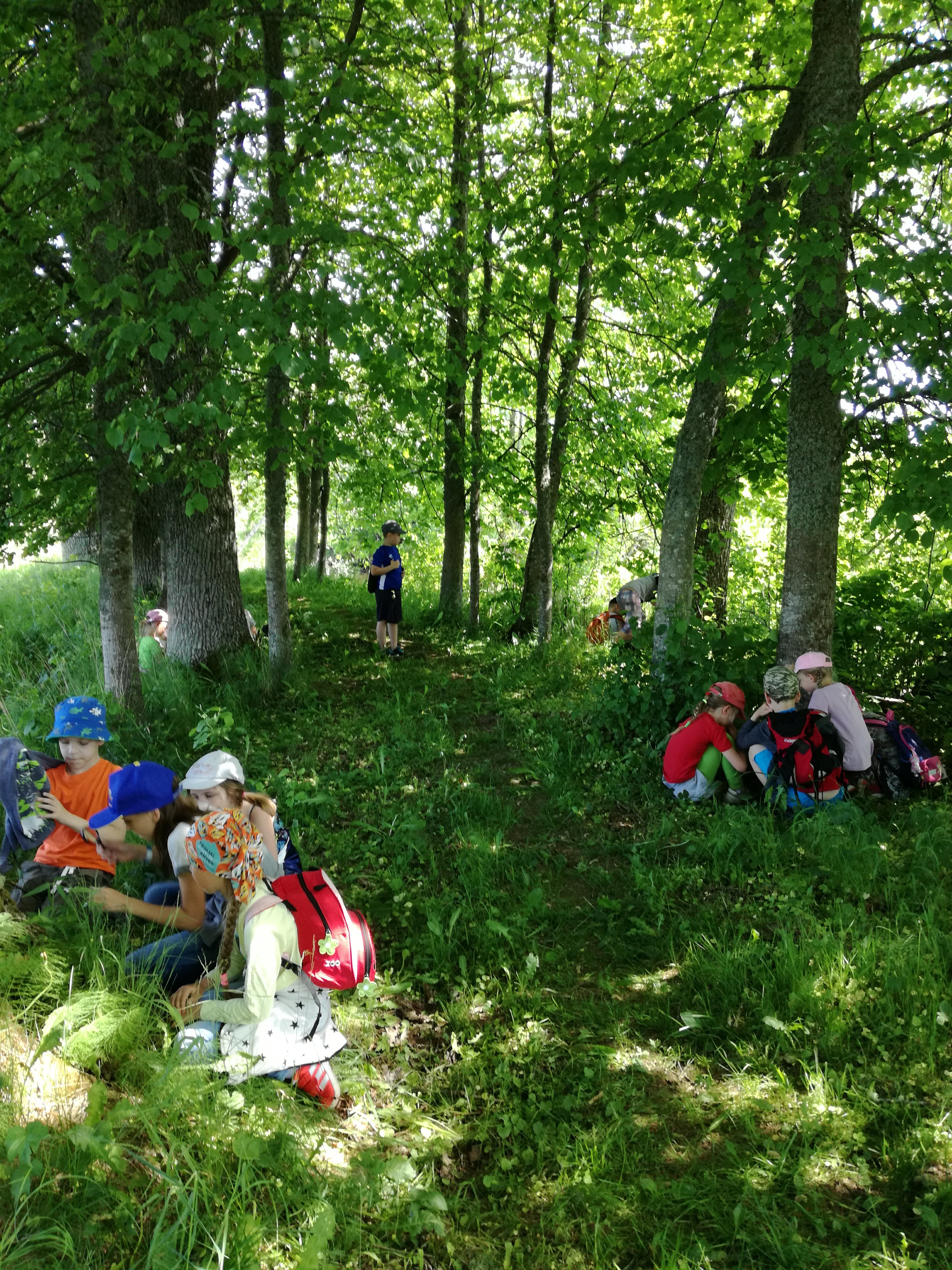 Toiduahelaprogramm Tipu Looduskool