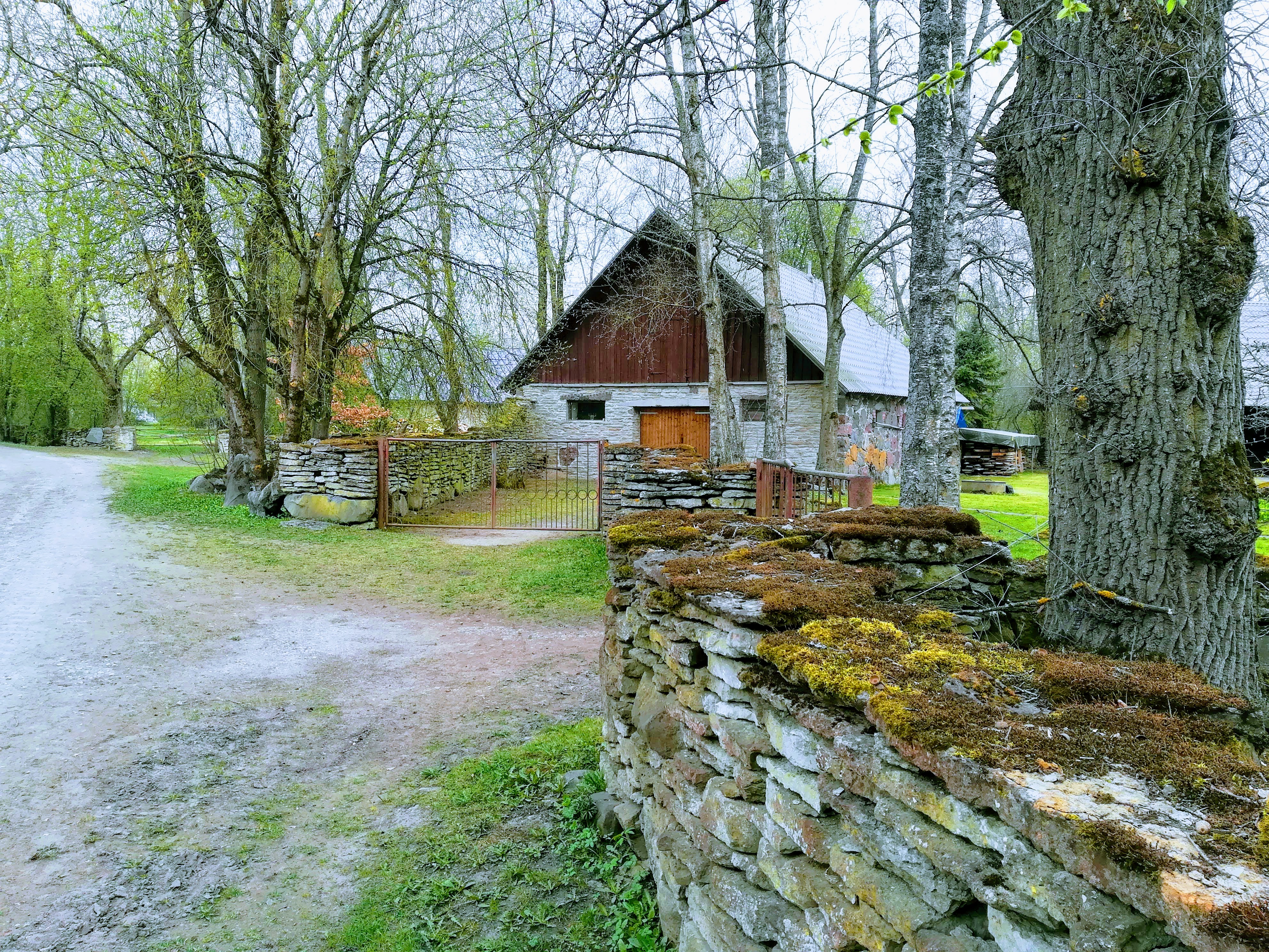 Rootsi-Kallavere küla muuseumi karjatänaval (vahetult Maardu linna piiril)