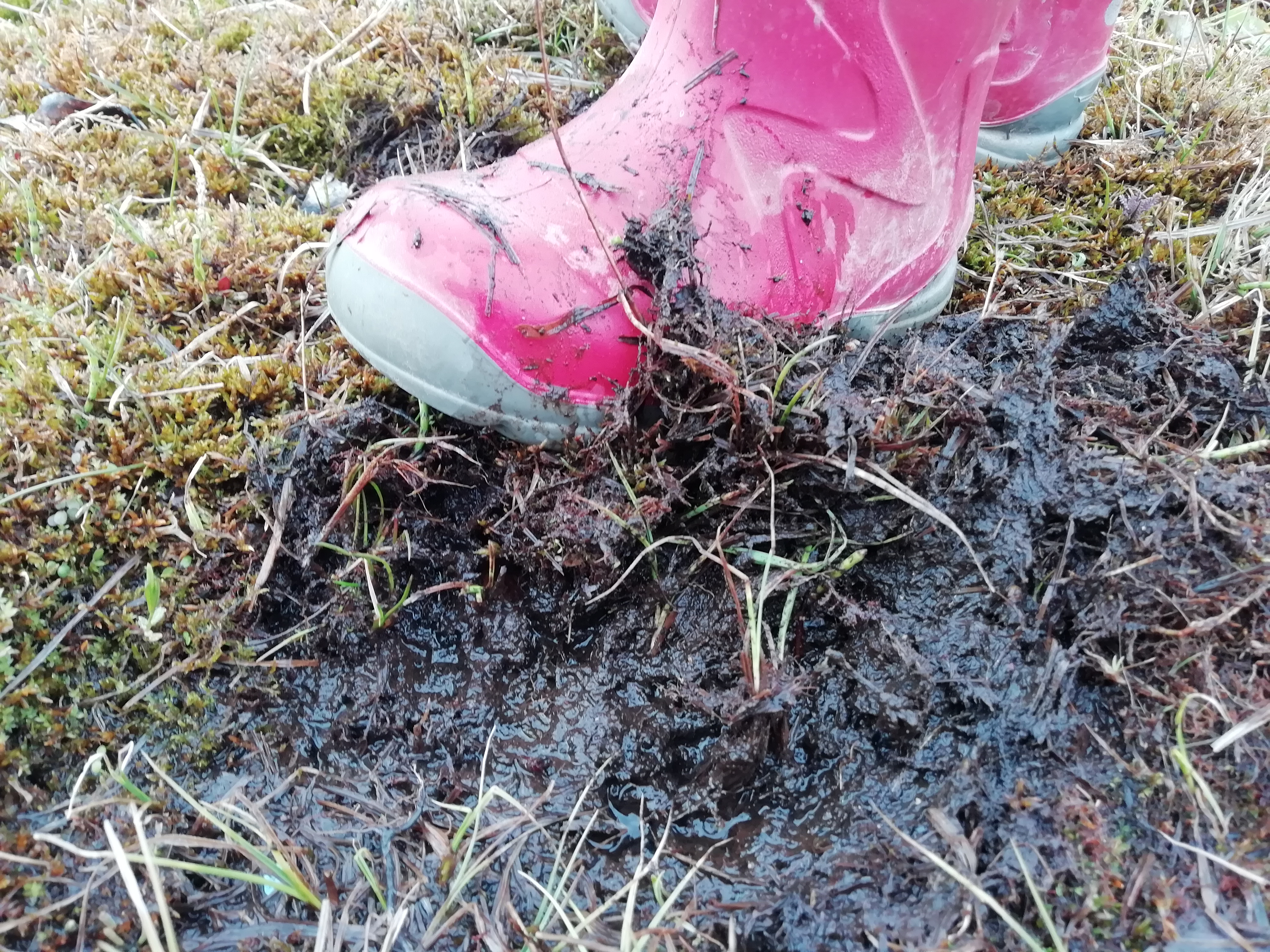 Mudaprogramm Tipu Looduskoolis