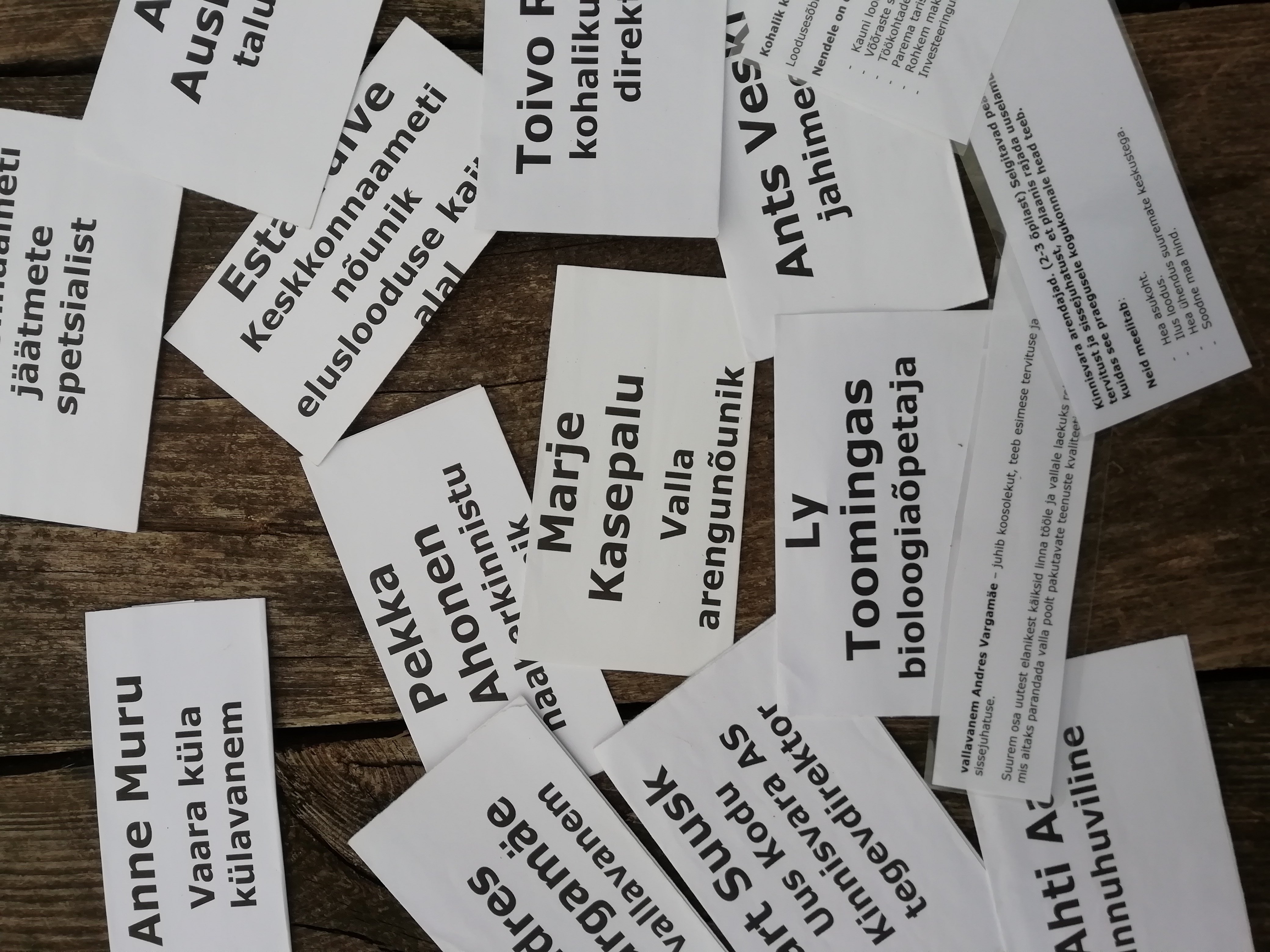 Ehitada v+i mitte ehitada rollimäng