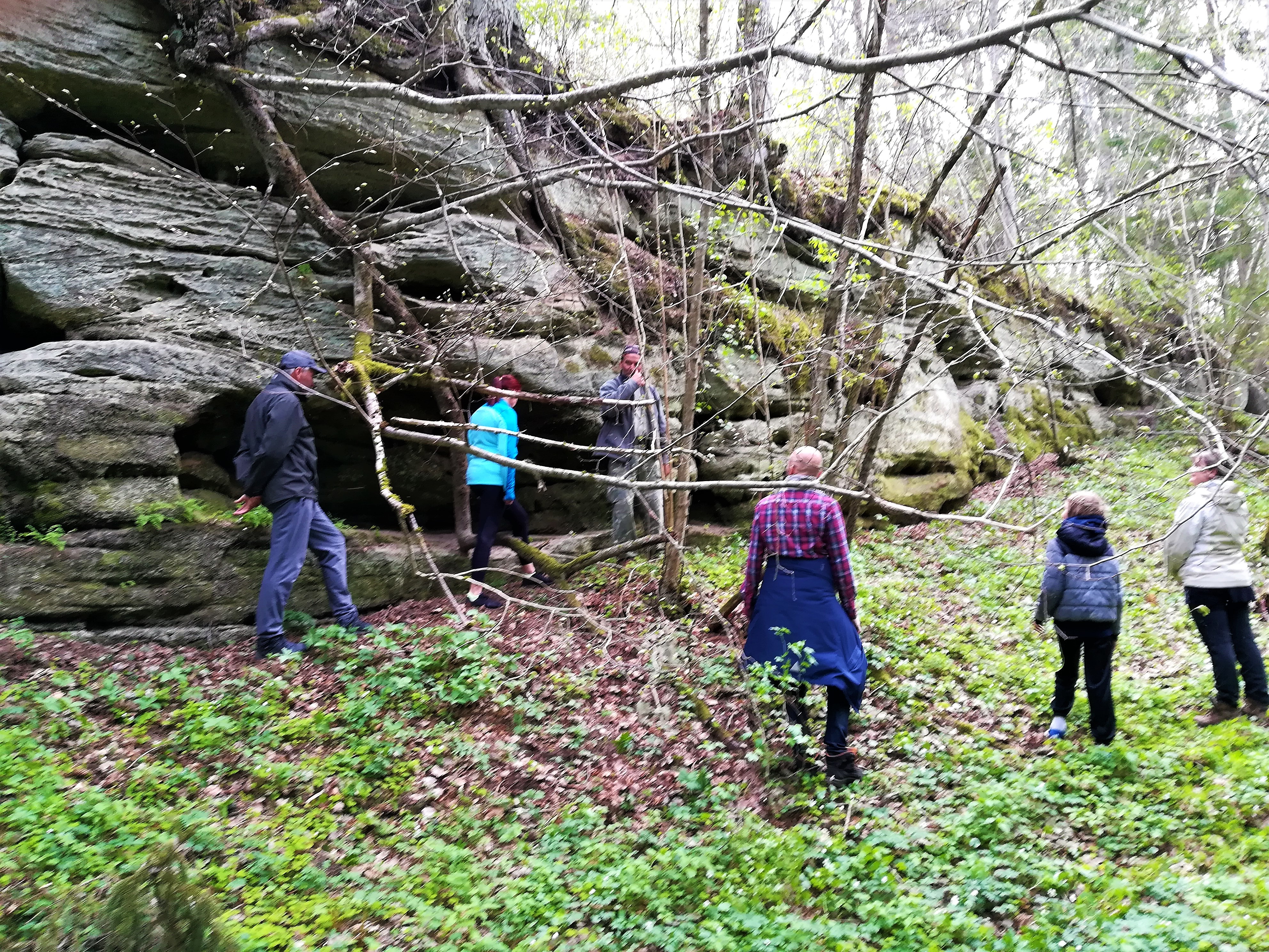 Paljanduv liivakivi Ubari maastikukaitsealal