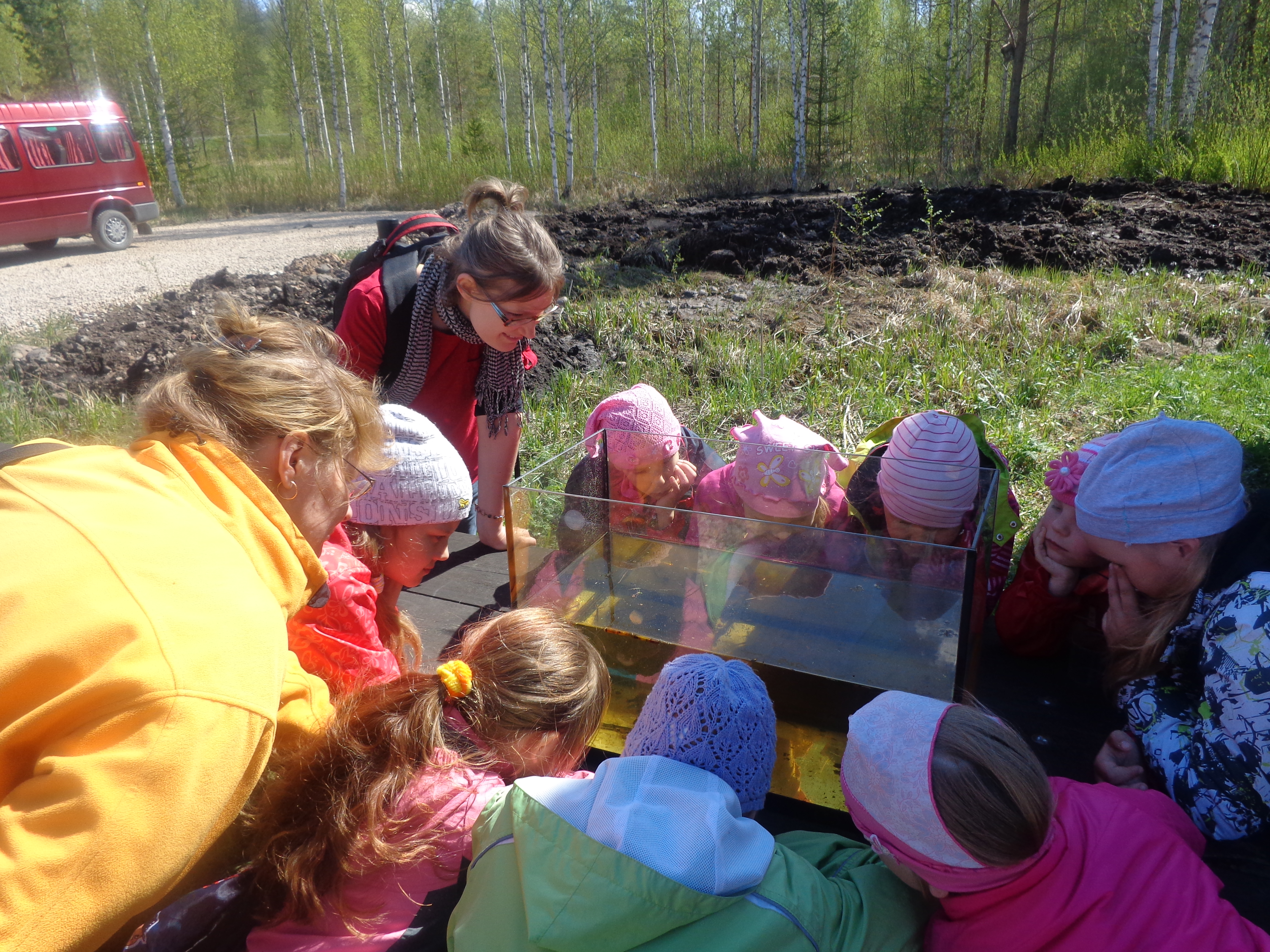 Tiigiprogramm lasteaedadele Tipu Looduskoolis