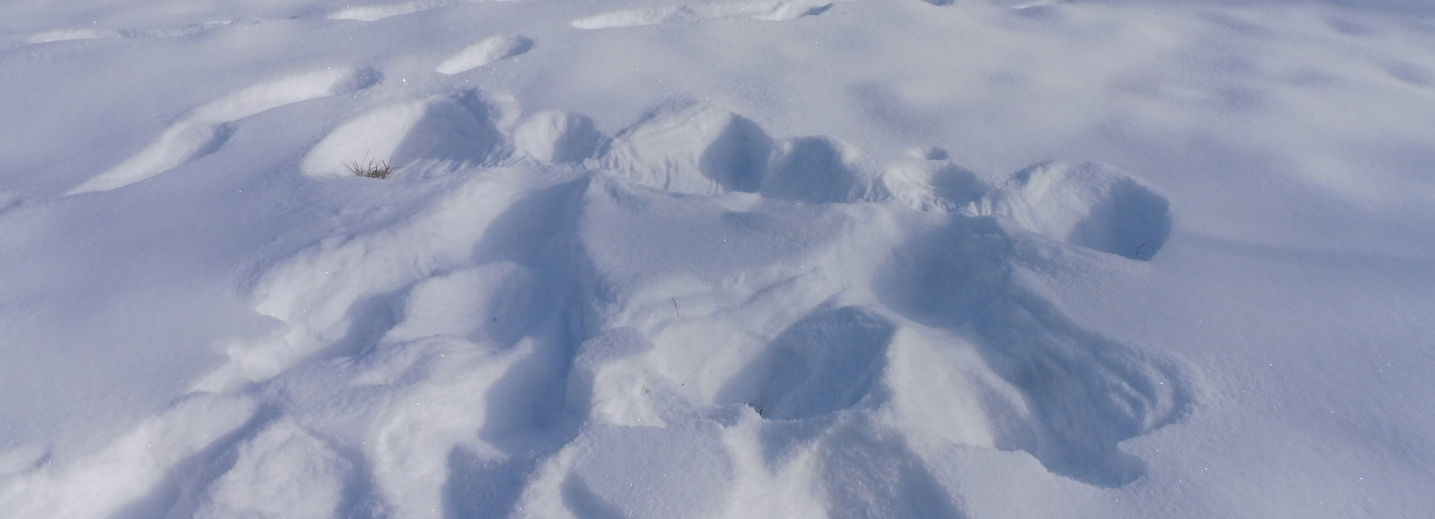 Talveprogramm Tipu Looduskoolis