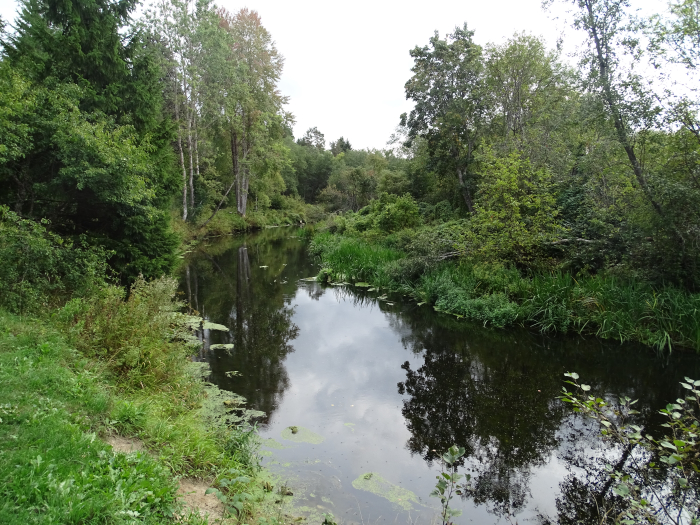 Foto loodusrajast jõe ääres.