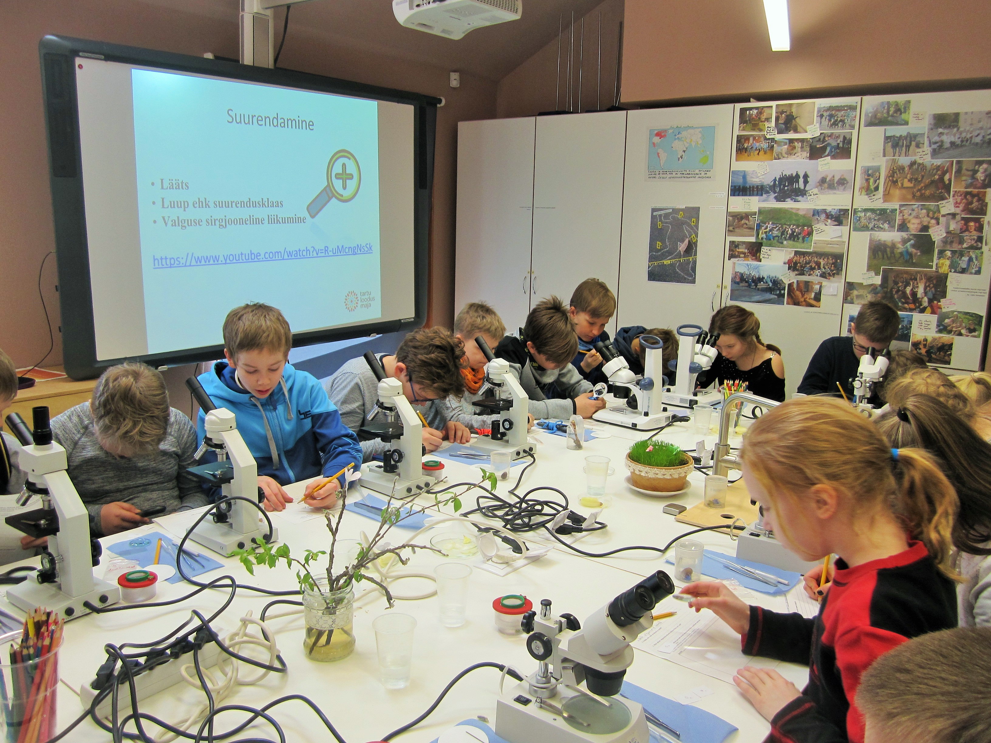 Elu läbi mikroskoobi