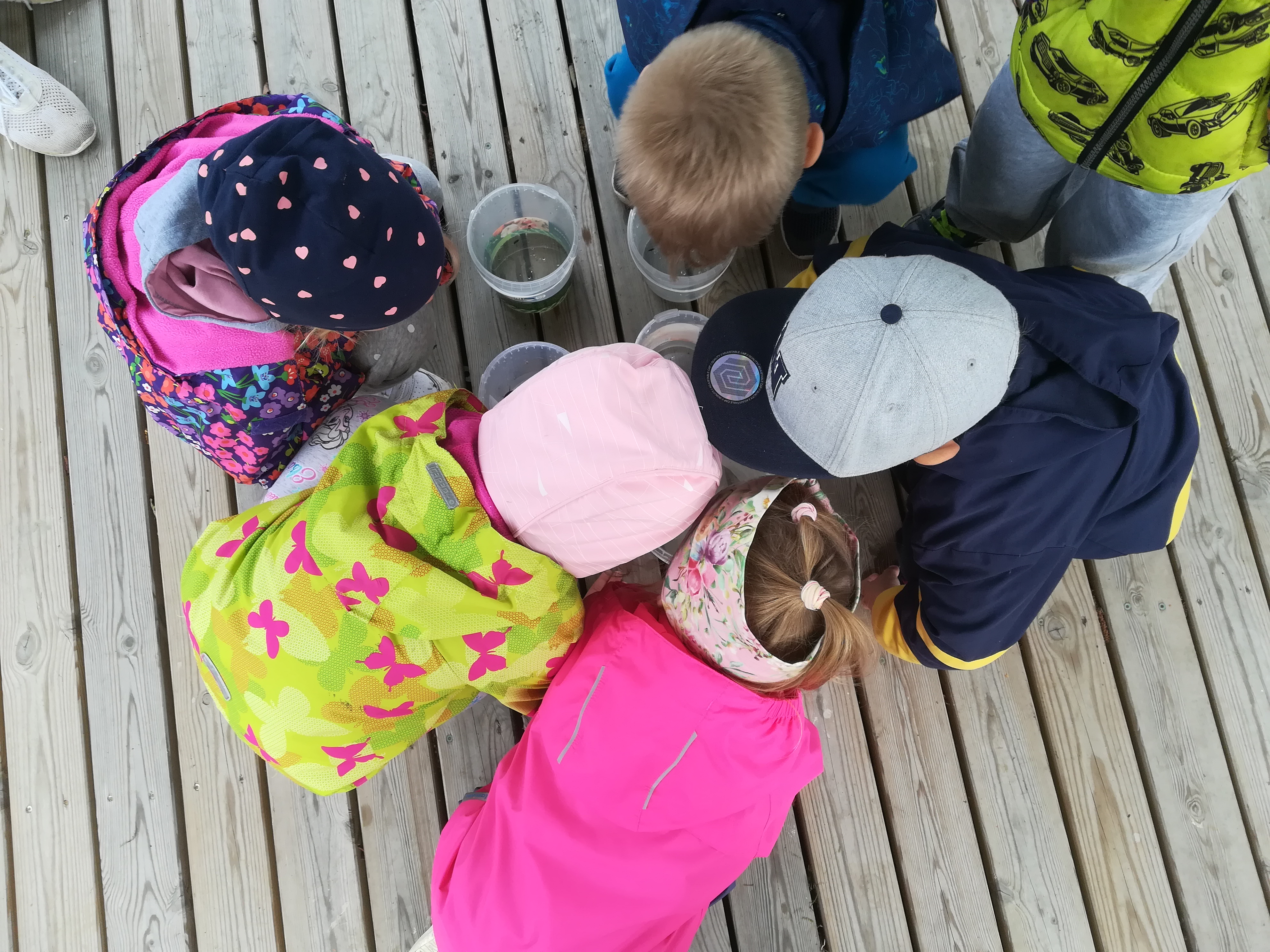 Uurimas tiigielanikke