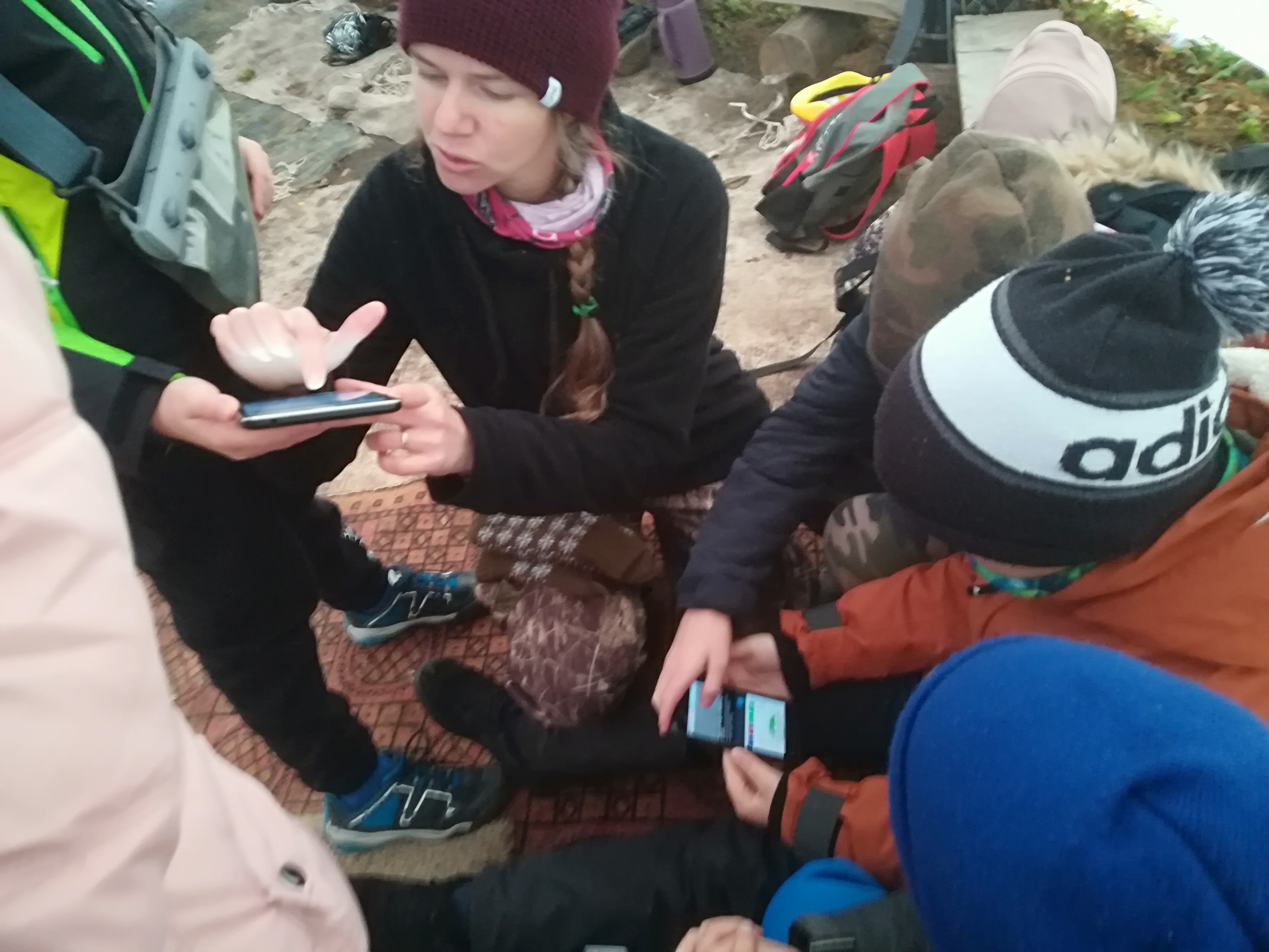 Puude ja põõsaste test