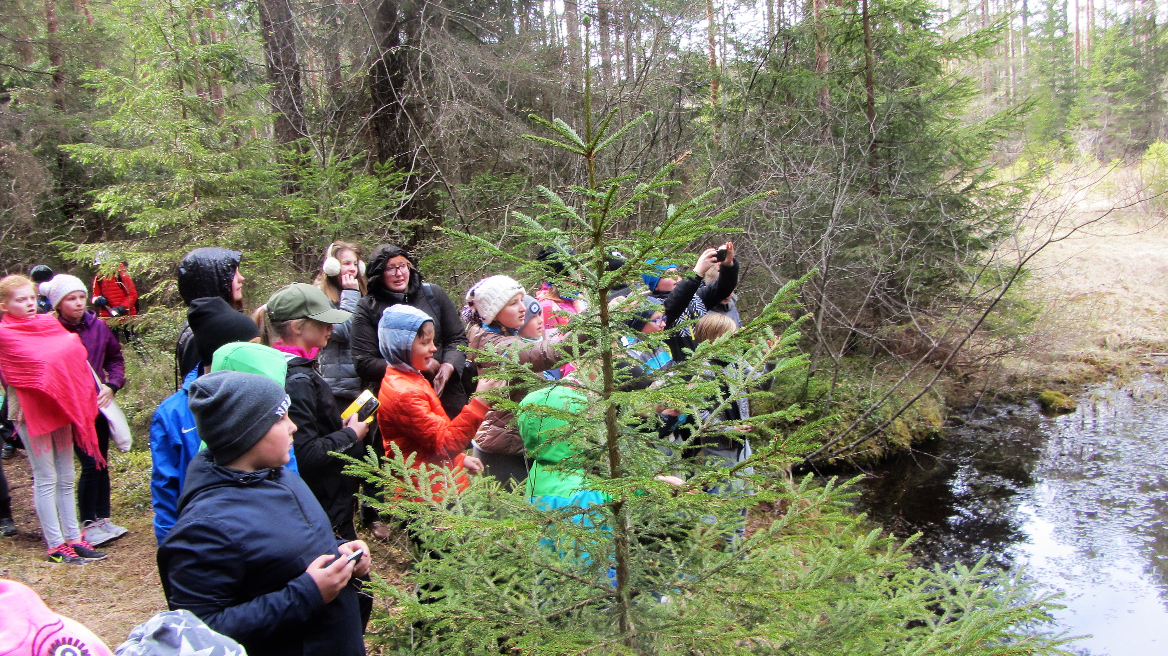Looduse märkamine ja jäädvustamine