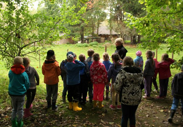 Pokumaa Padasoomäel