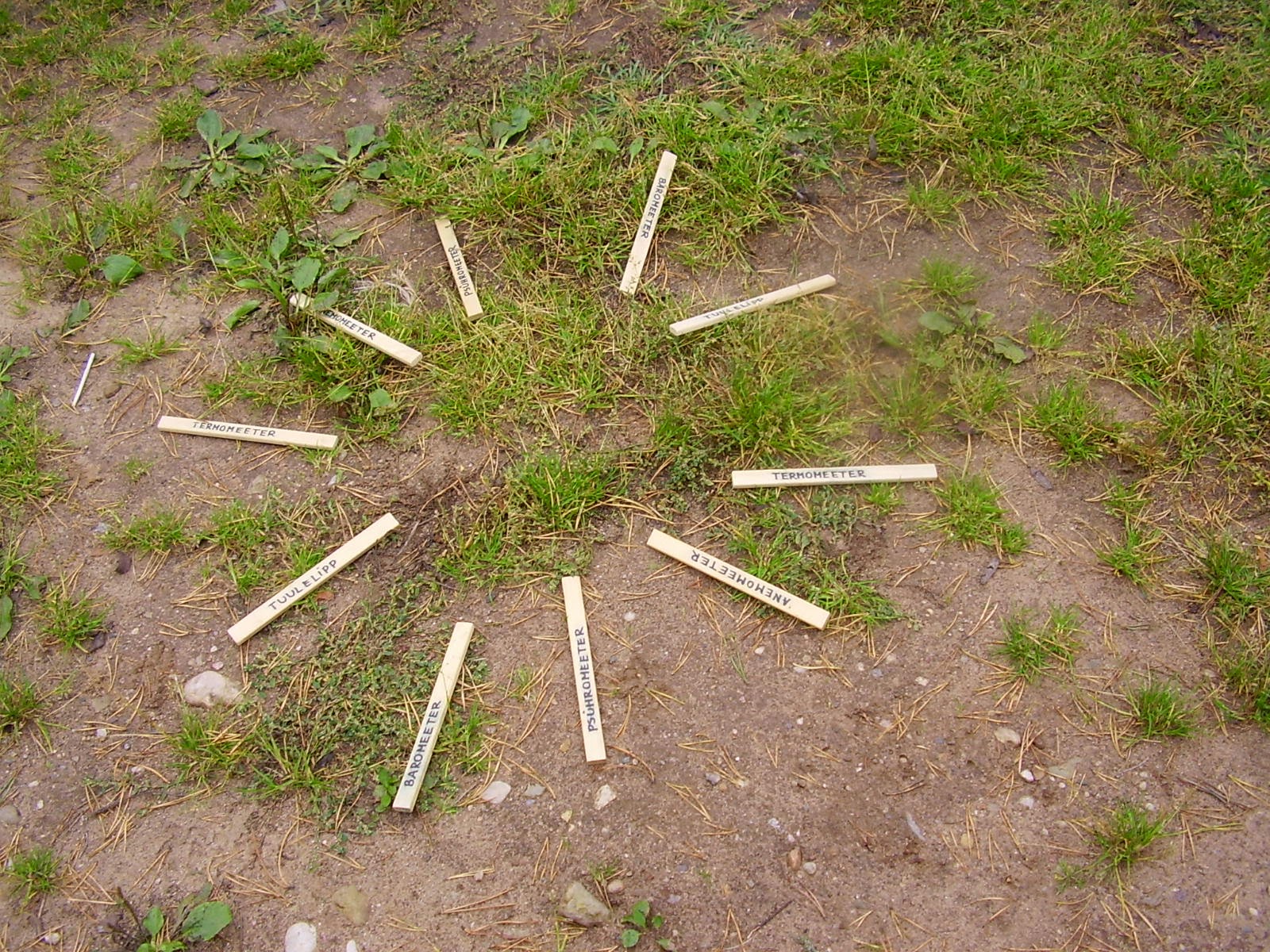 Õppeprogramm Ilm Vellaveres