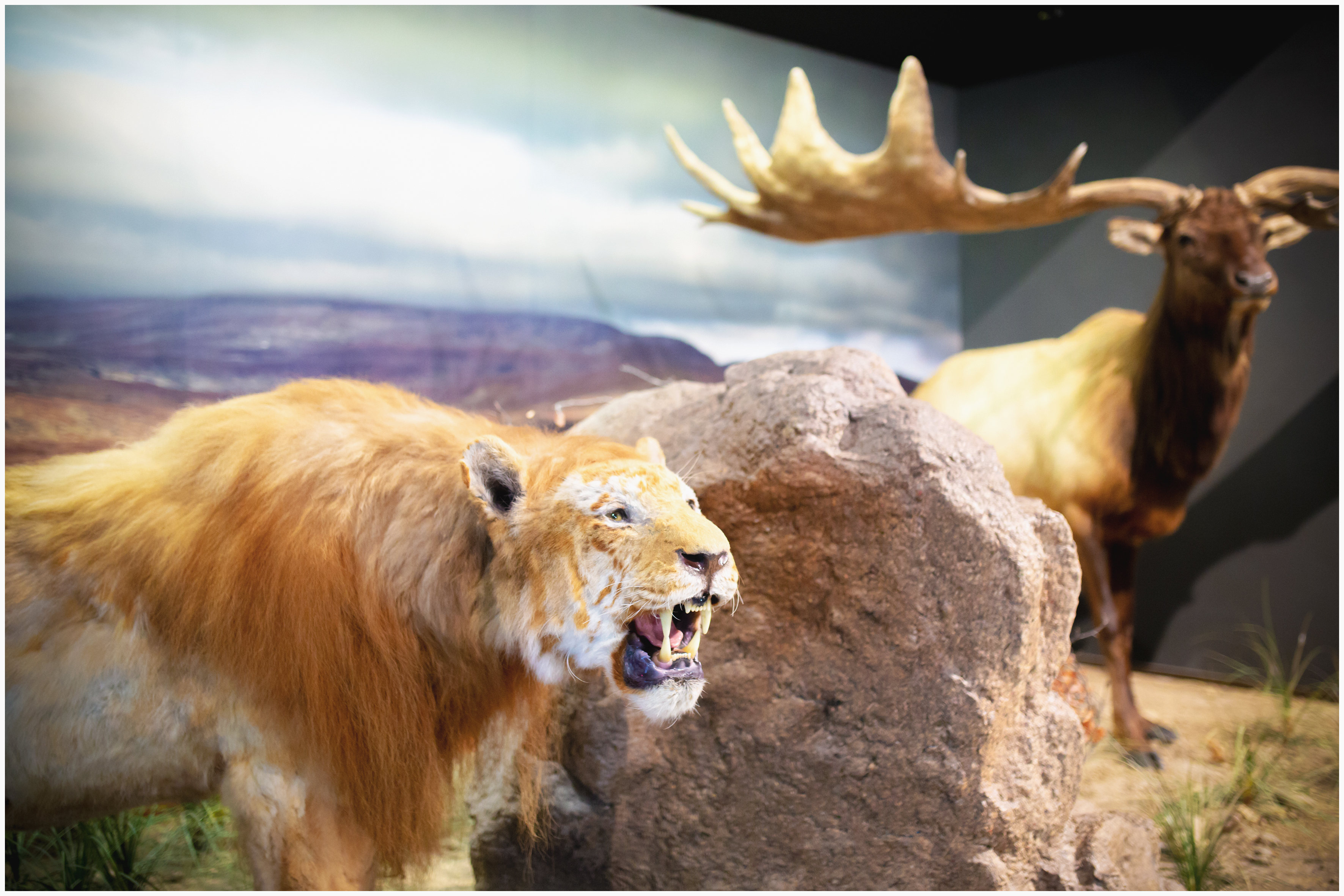 Jääaeg - Maa arengu lahutamatu osa