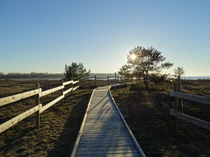 Laudtee Paljassaare õpperajal