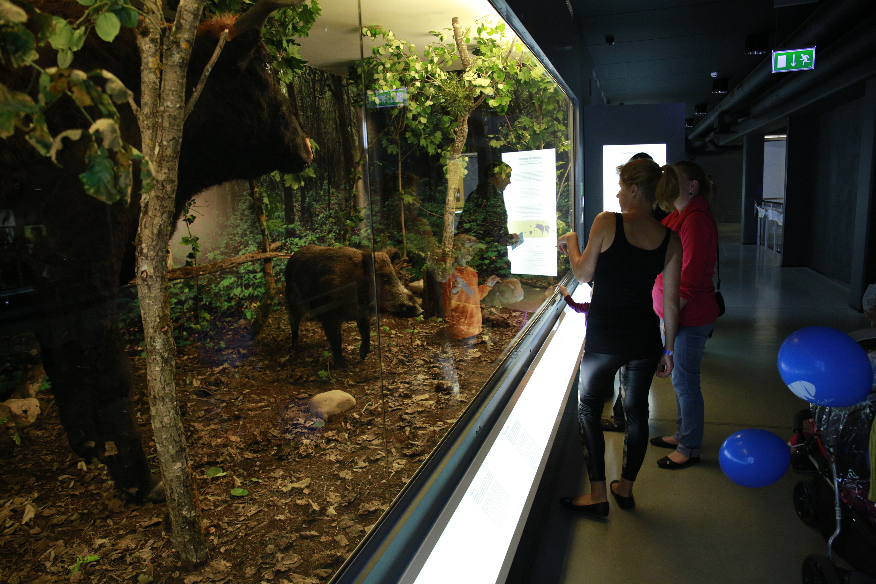 Eestimaa looduse lugu – jääajajärgne elustiku areng