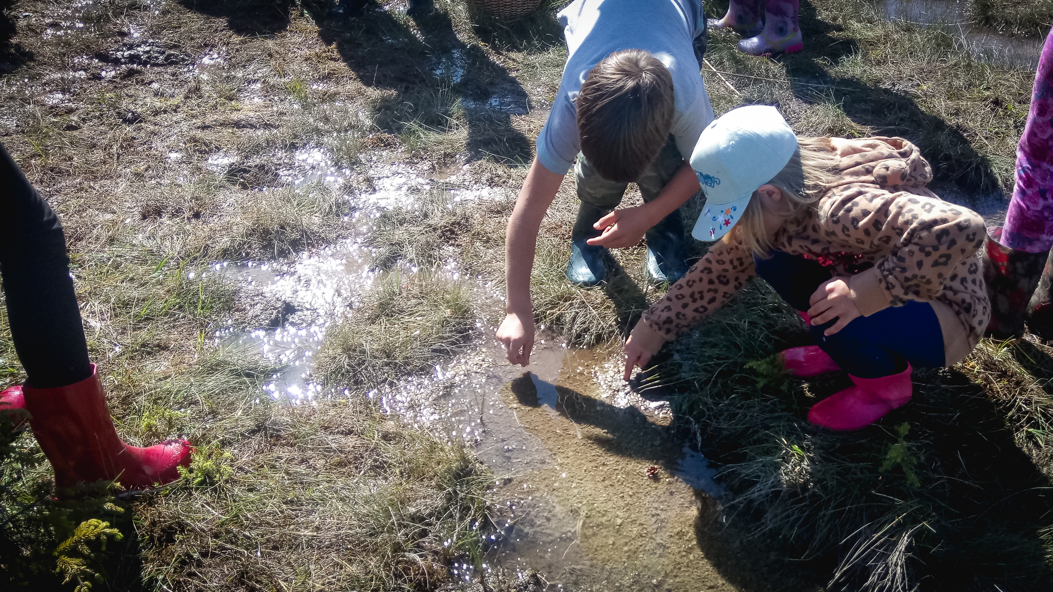 Meri, rand ja roostik