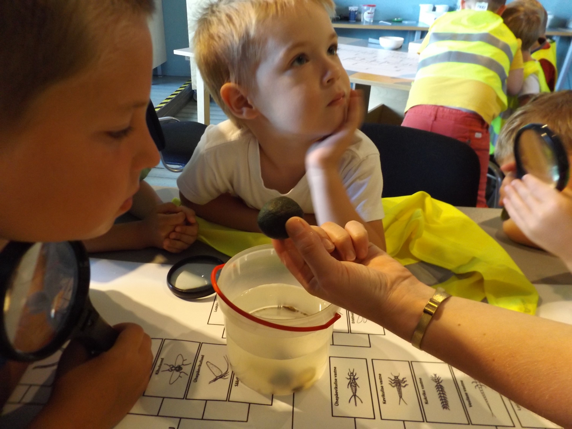 Kes elab järve sees? 