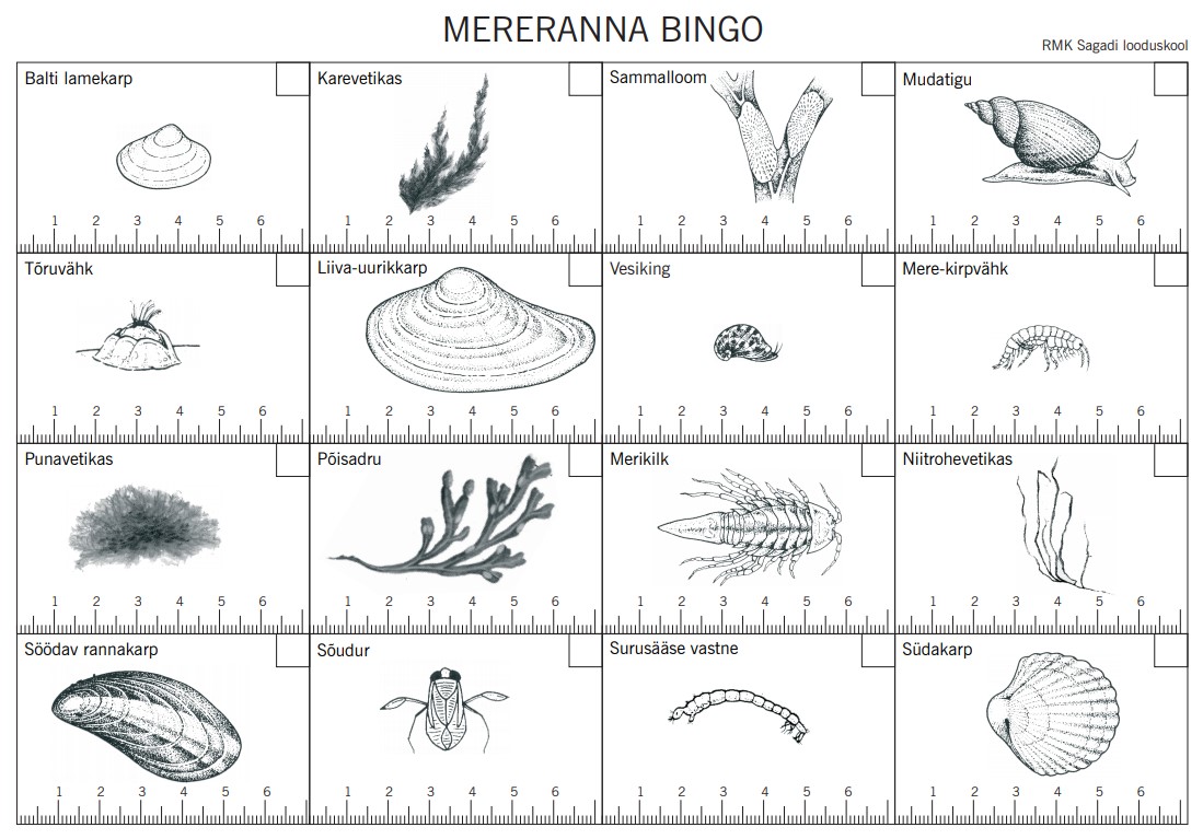 mereranna bingo