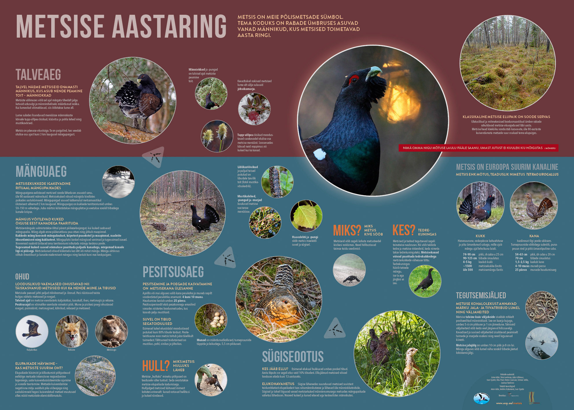Metsist tutvustavad tekstid vaheldumisi ümmarguste fotodega.