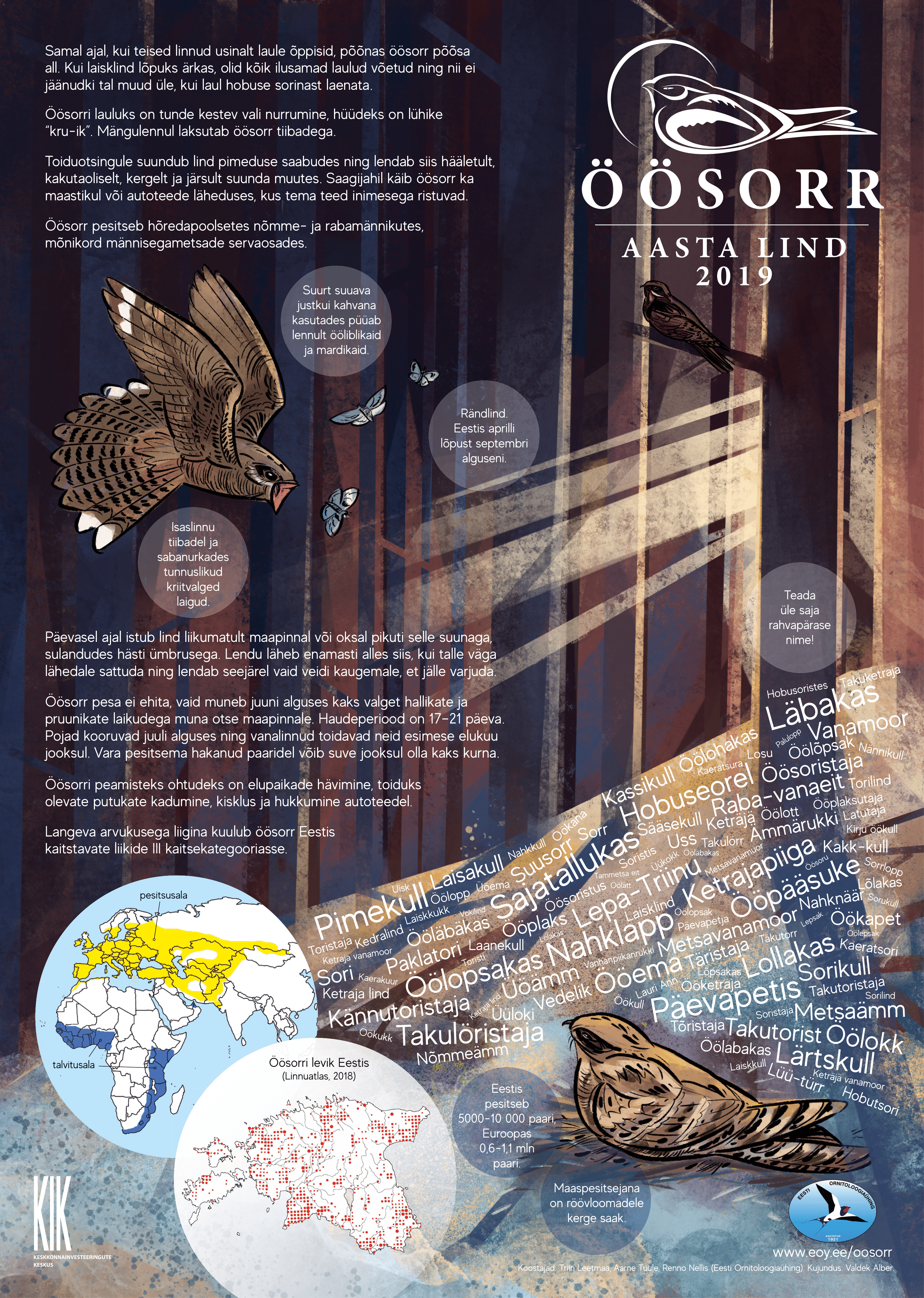 Aasta lindu 2019 tutvustav plakat, vasakul tekst, taustal ja paremal illustratsioonid
