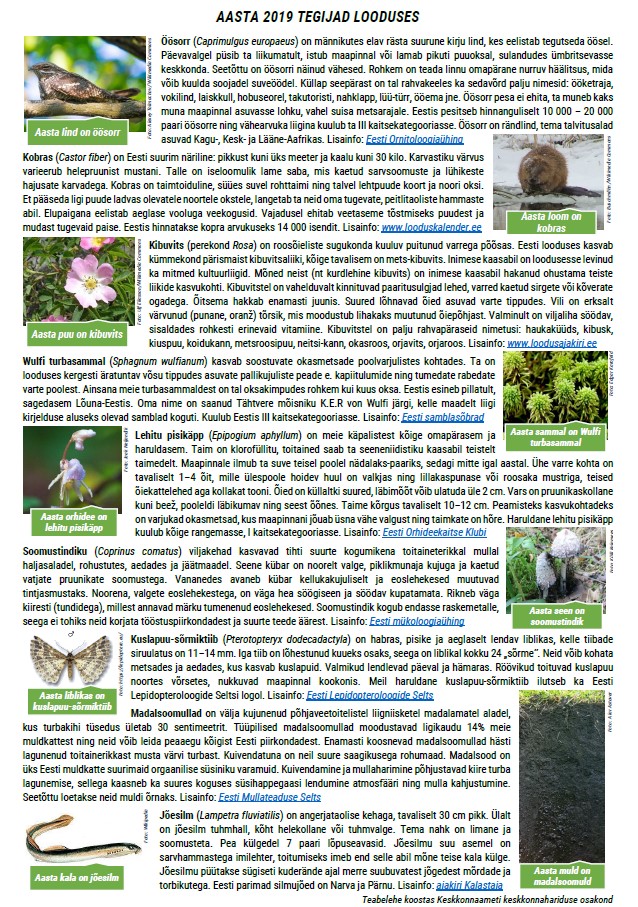 aasta tegijad looduses 2019