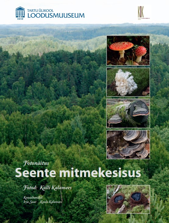seente mitmekesisus