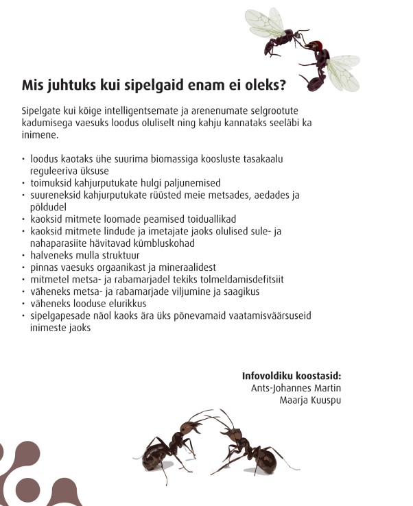 sipelgateemalised infolehed