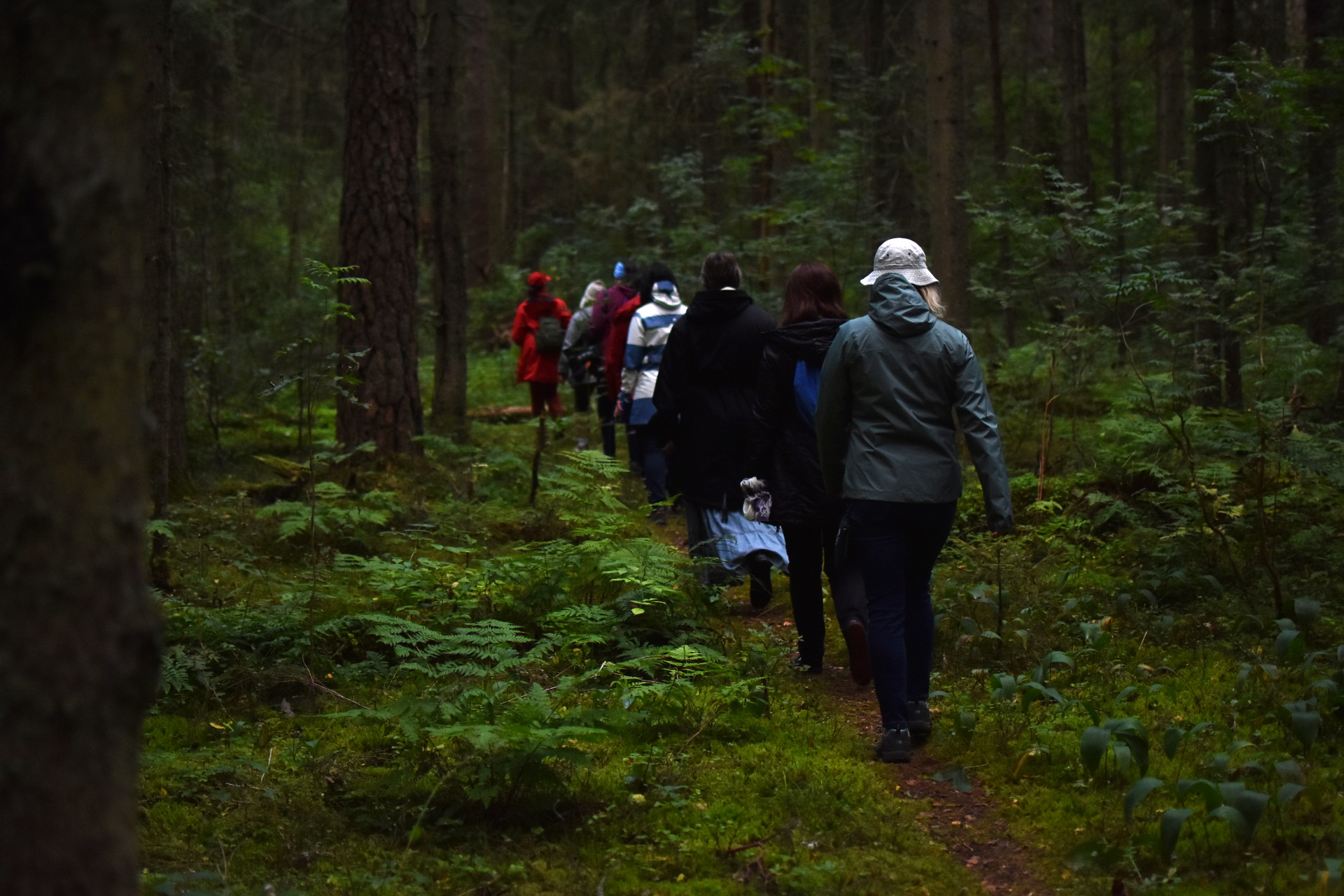 Inimesed kõnnivad üksteise järel reas metsas.
