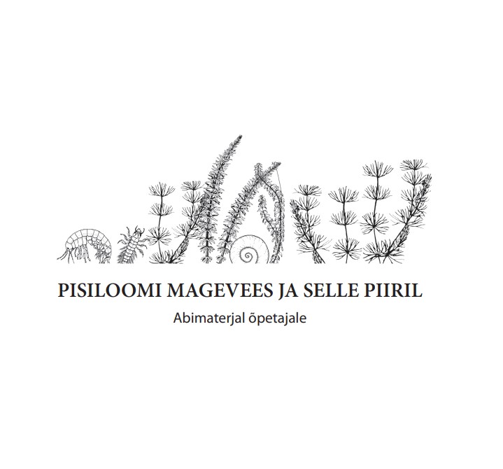 pisiloomi magevees