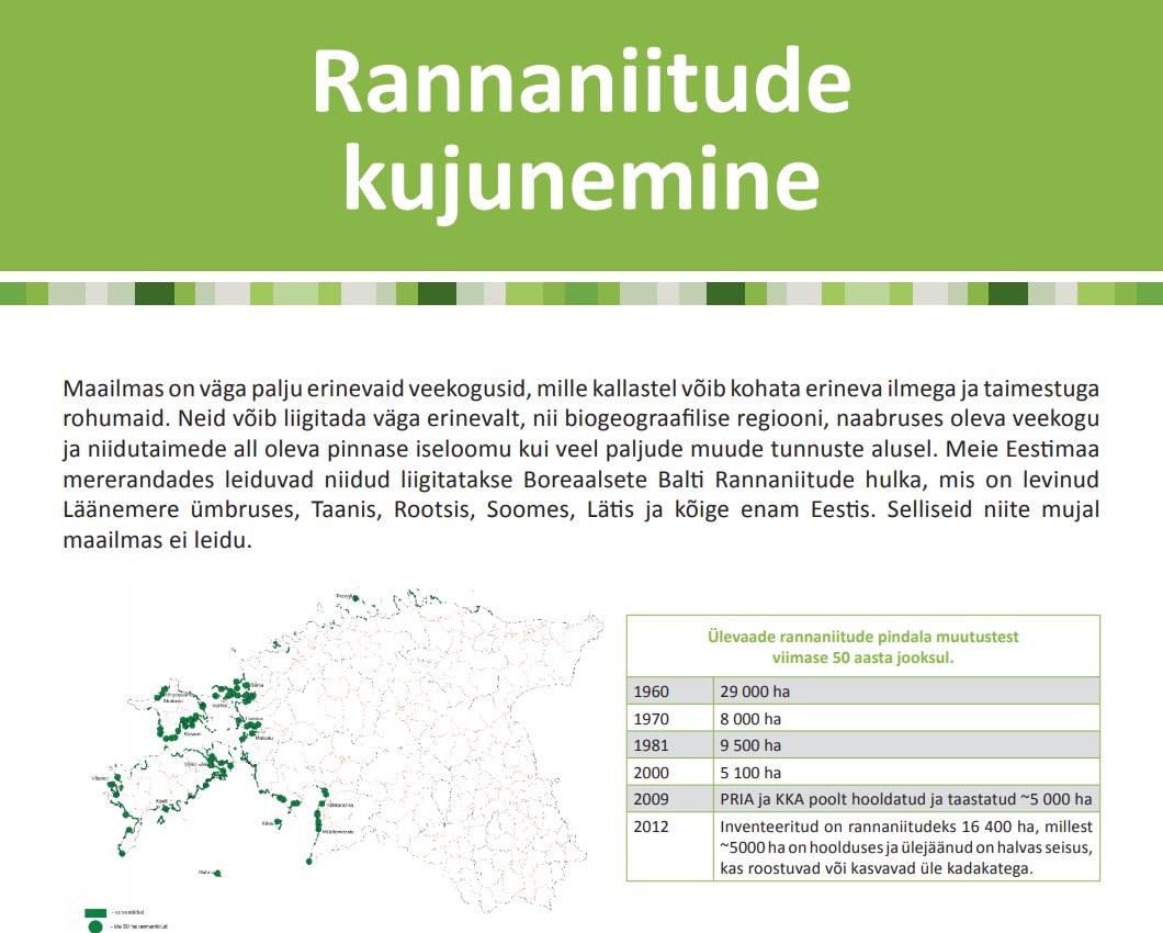rannaniidud