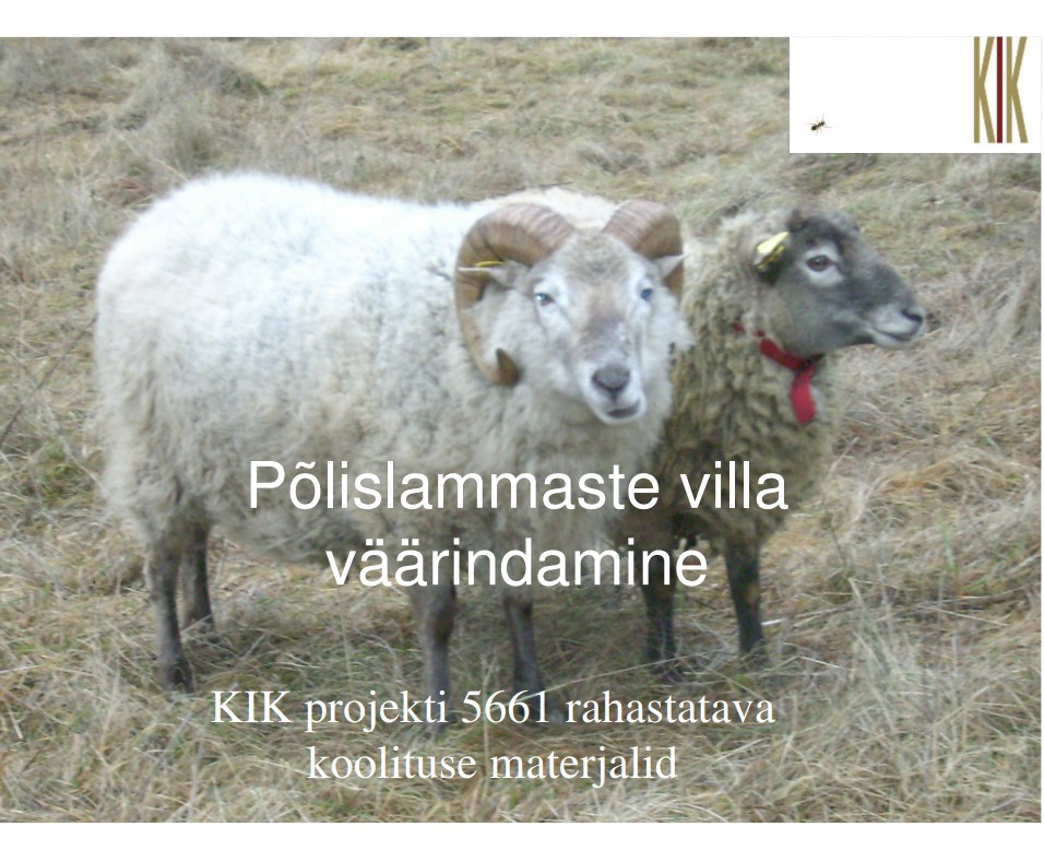 villa väärindamine