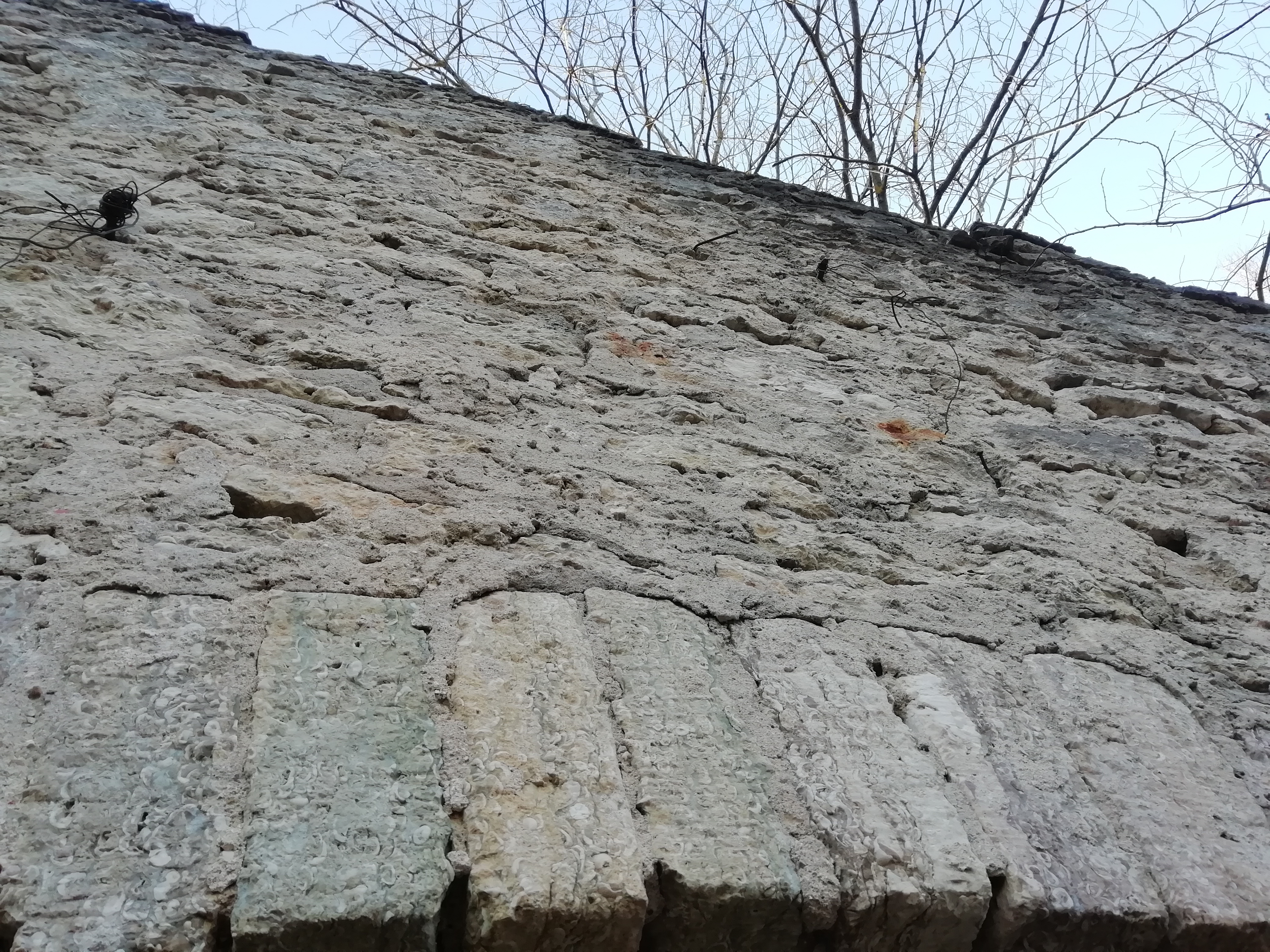 Paekivi kasutus Tamsalus