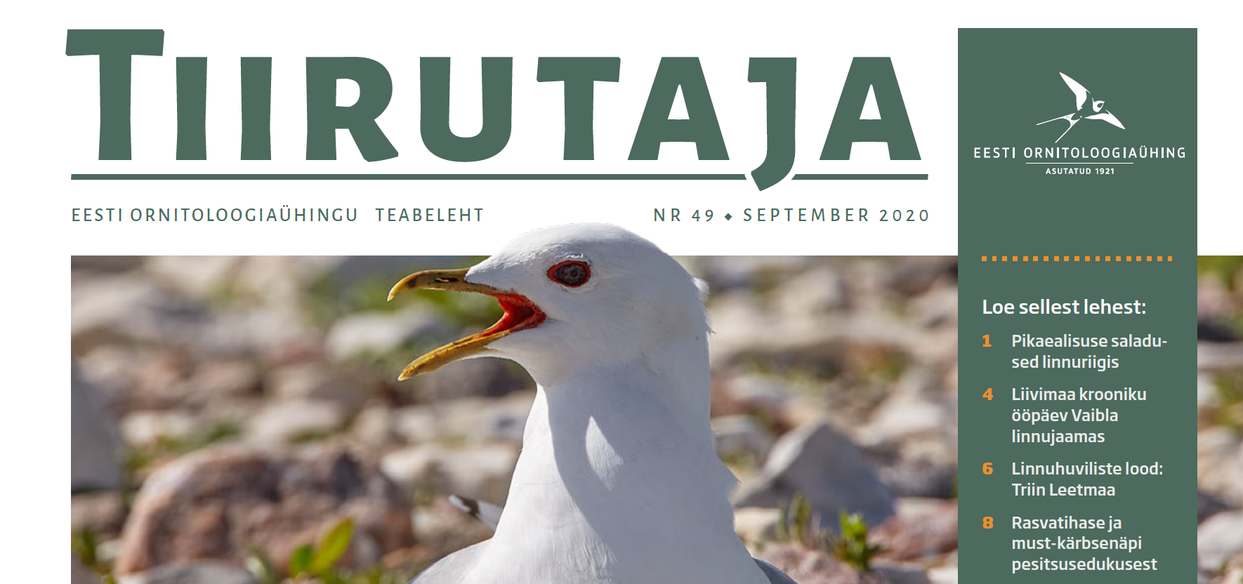 Teabelehe Tiirutaja esikaane vaade, üleval tekst "Tiirutaja", all foto kalakajakast.