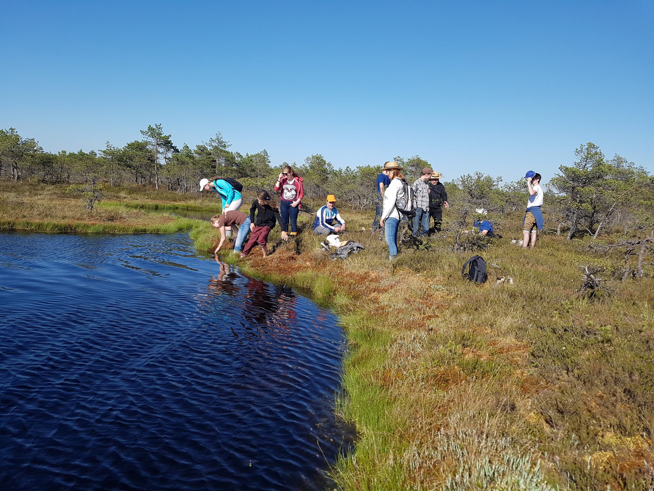 Programmi noored soos