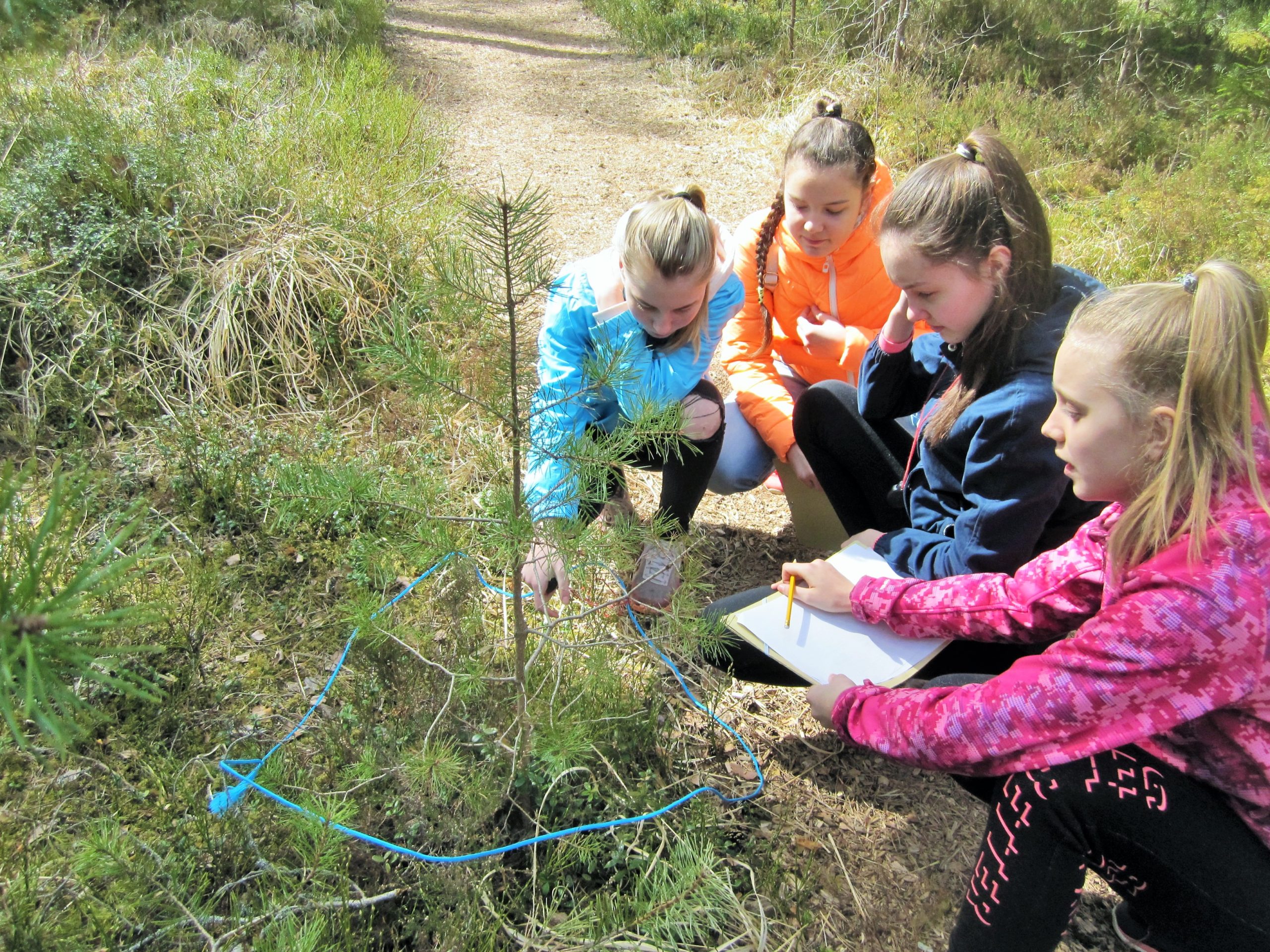 Noored programmil töölehte täitmas