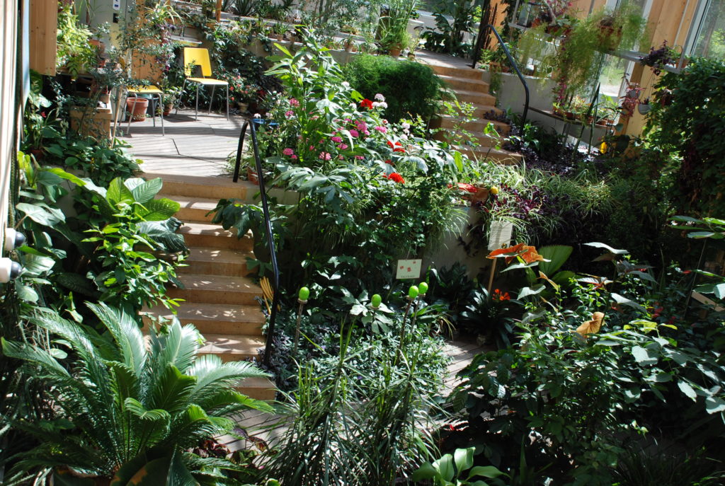 Tartu loodusmaja talveaed