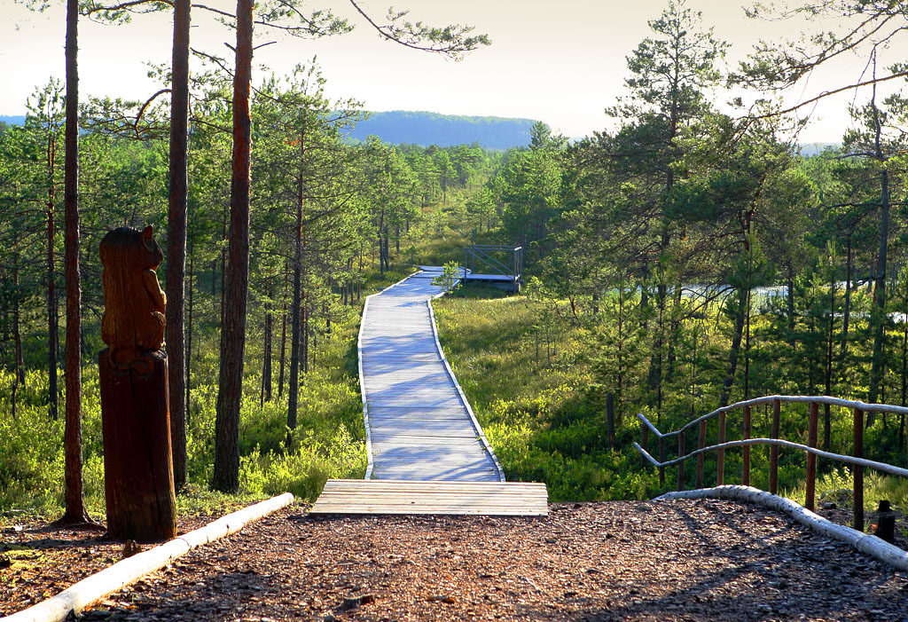 Taristuga loodusrada