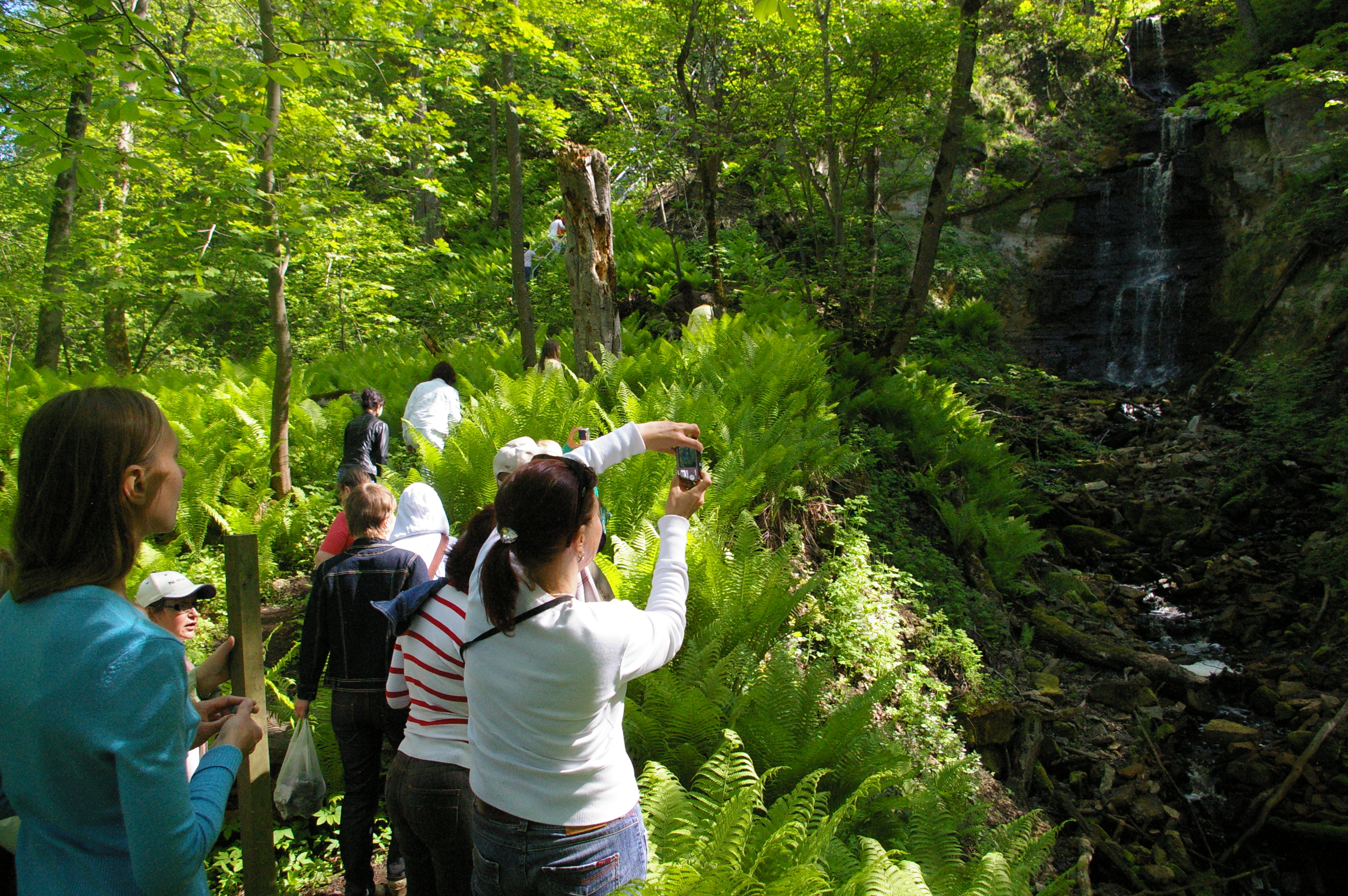 õpilased pangametsas