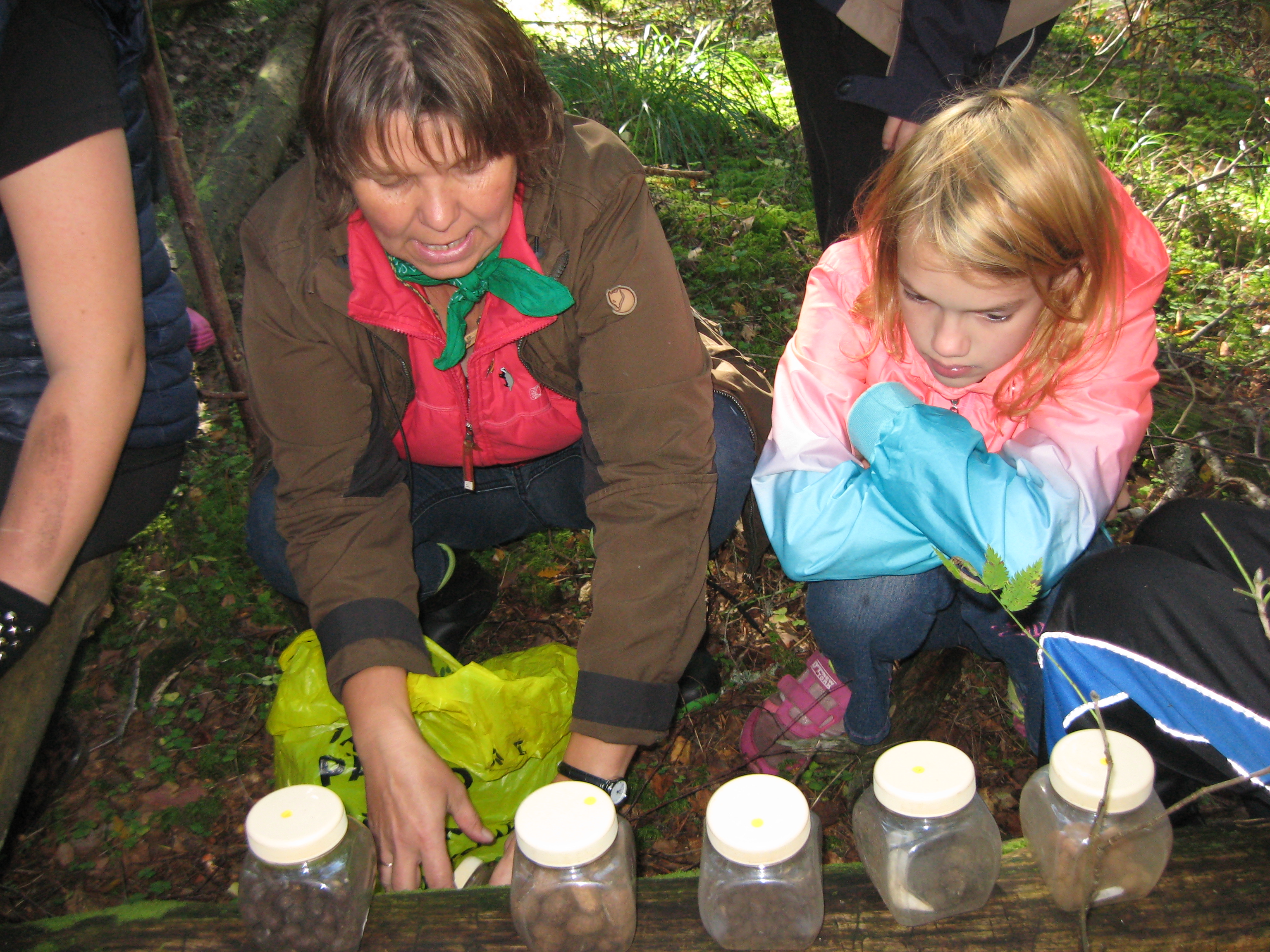 Ekskrementide määramine