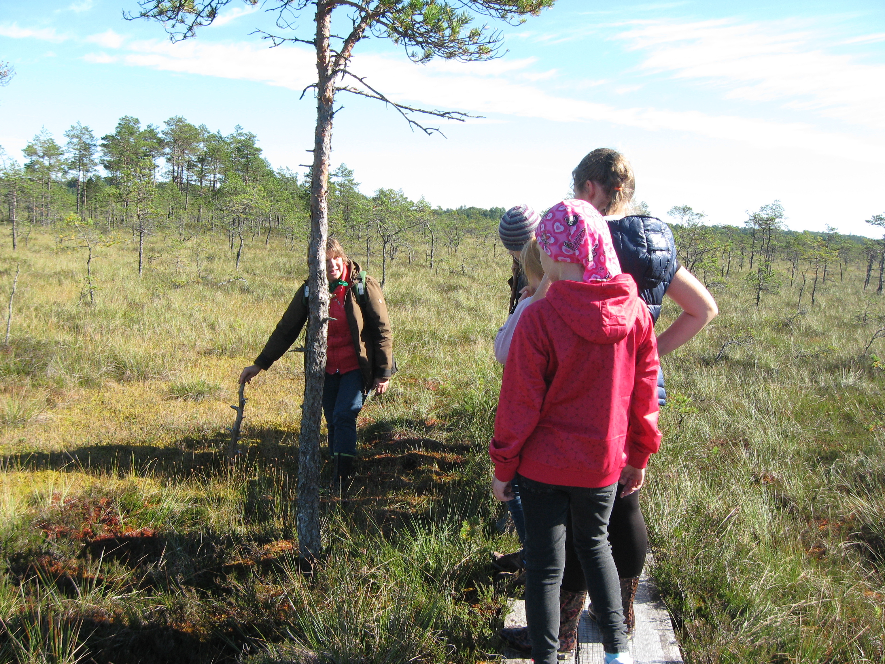 Turbakihi paksuse mõõtmine