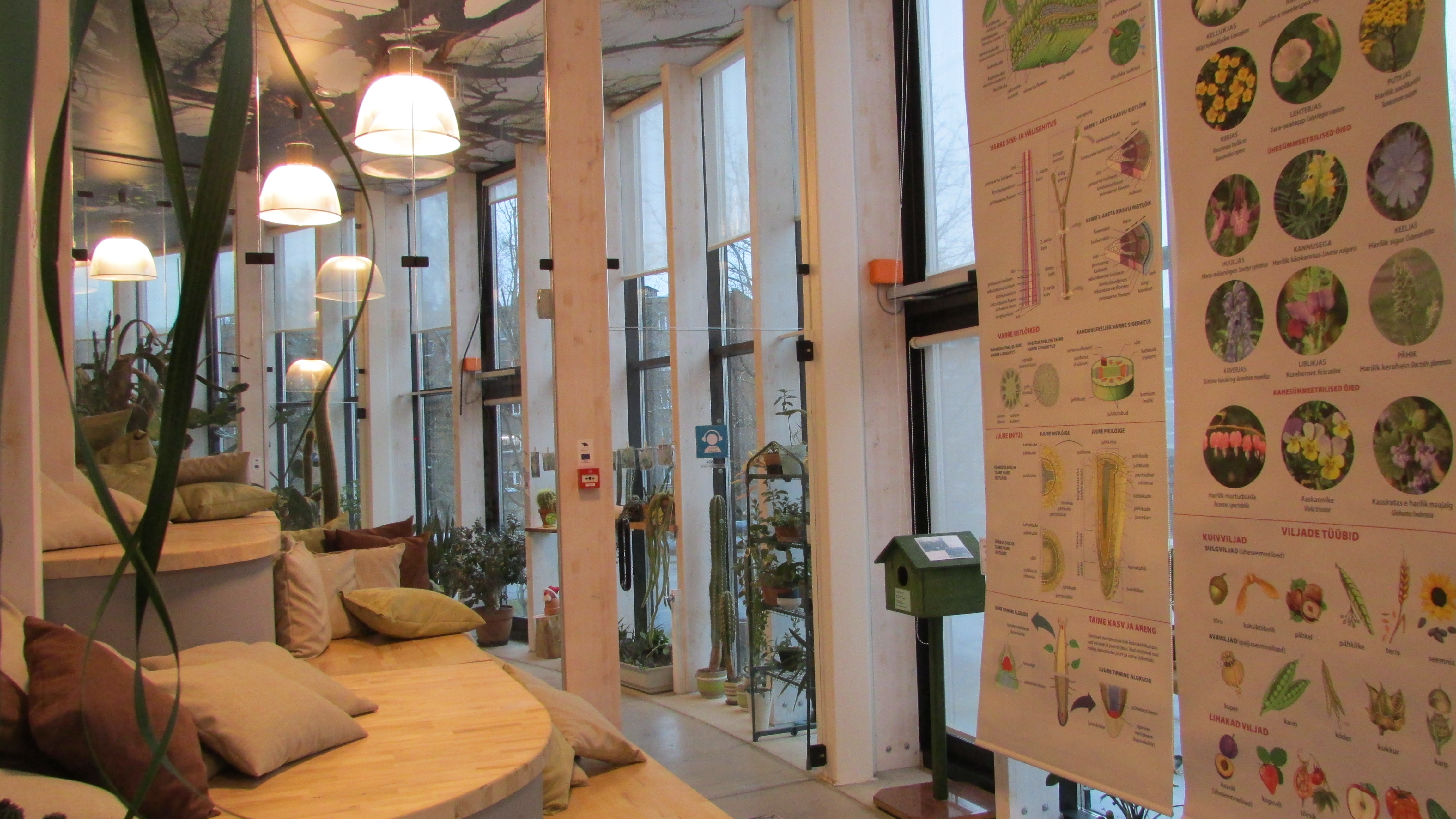 Talveaaed Pernova loodusmajas