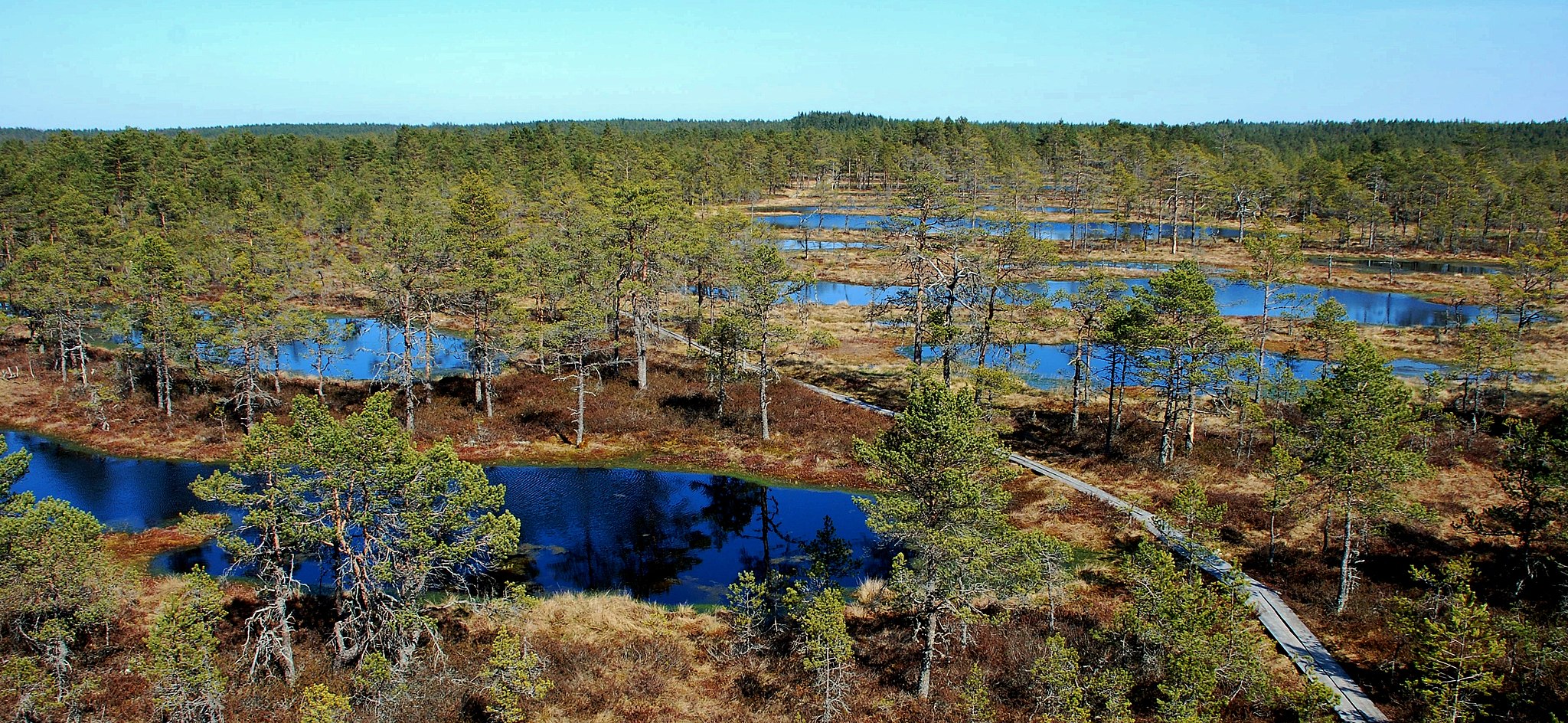 soo ja kestliku arengu haridus